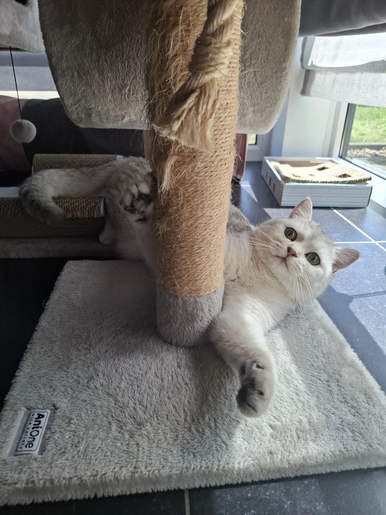 image-6