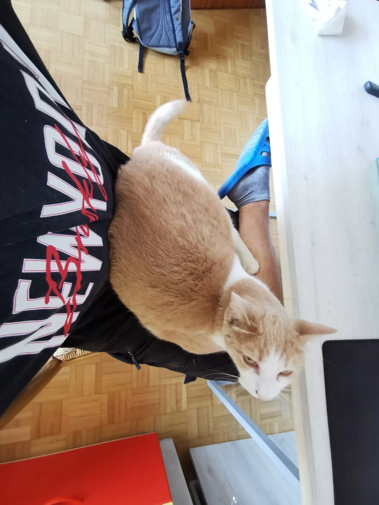 image-10
