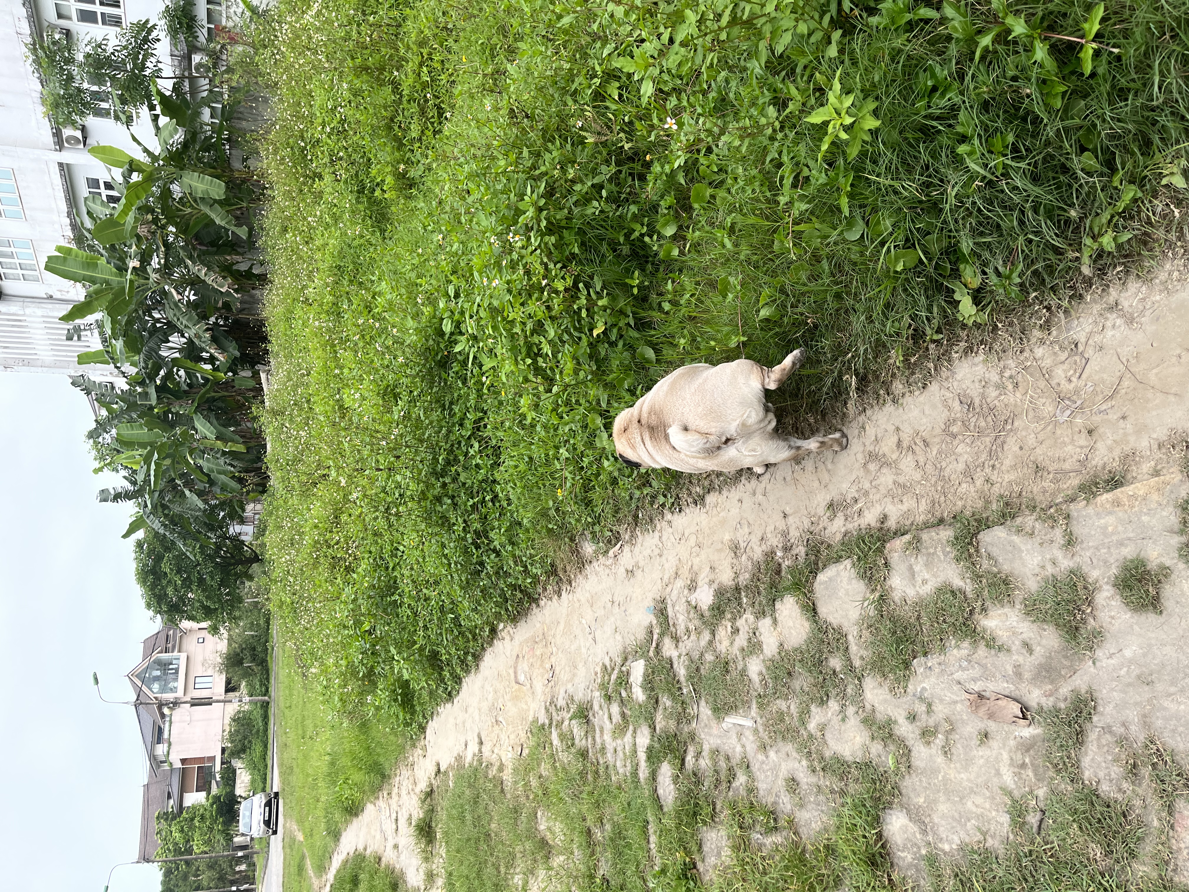 image-5