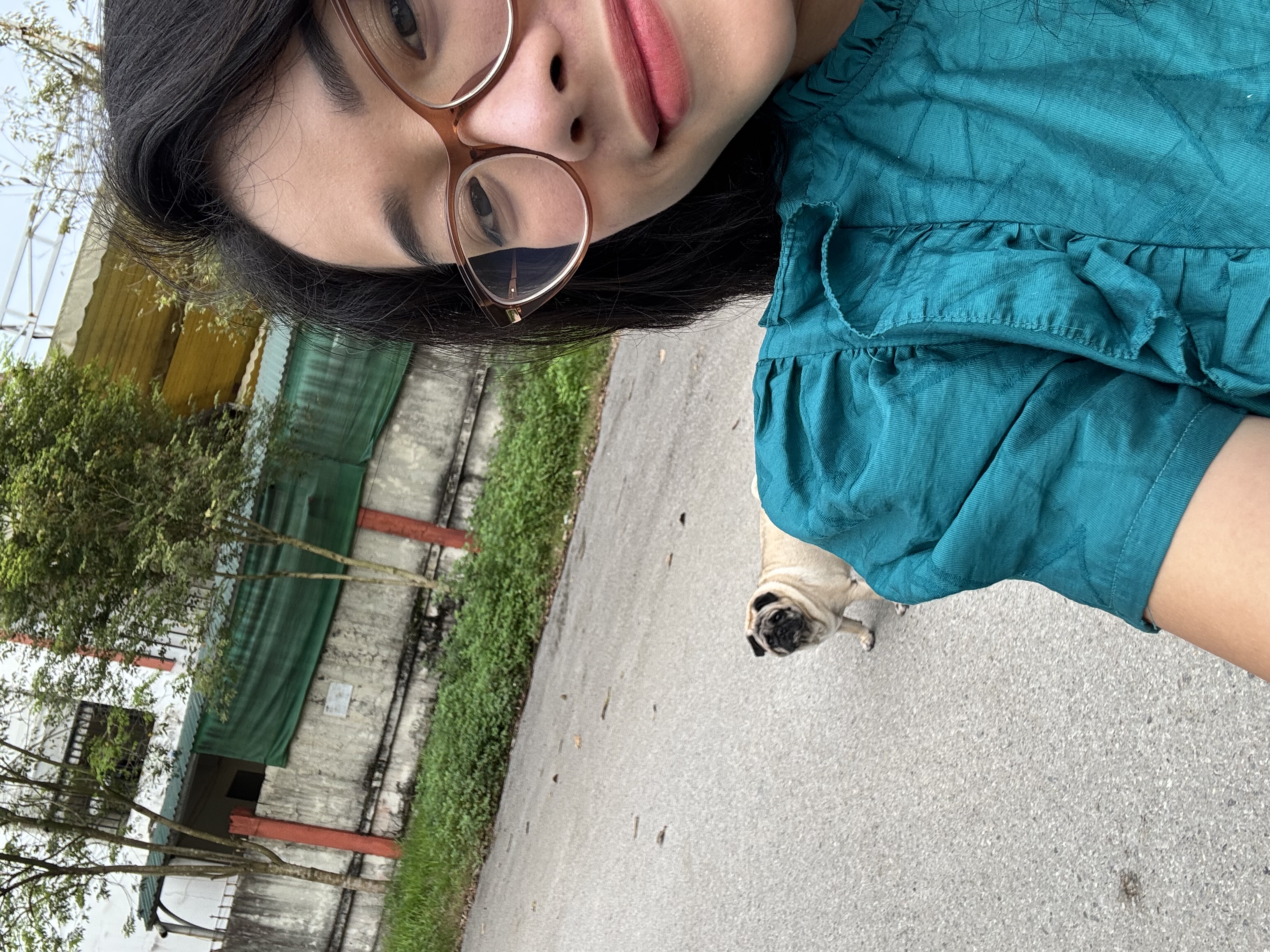 image-2