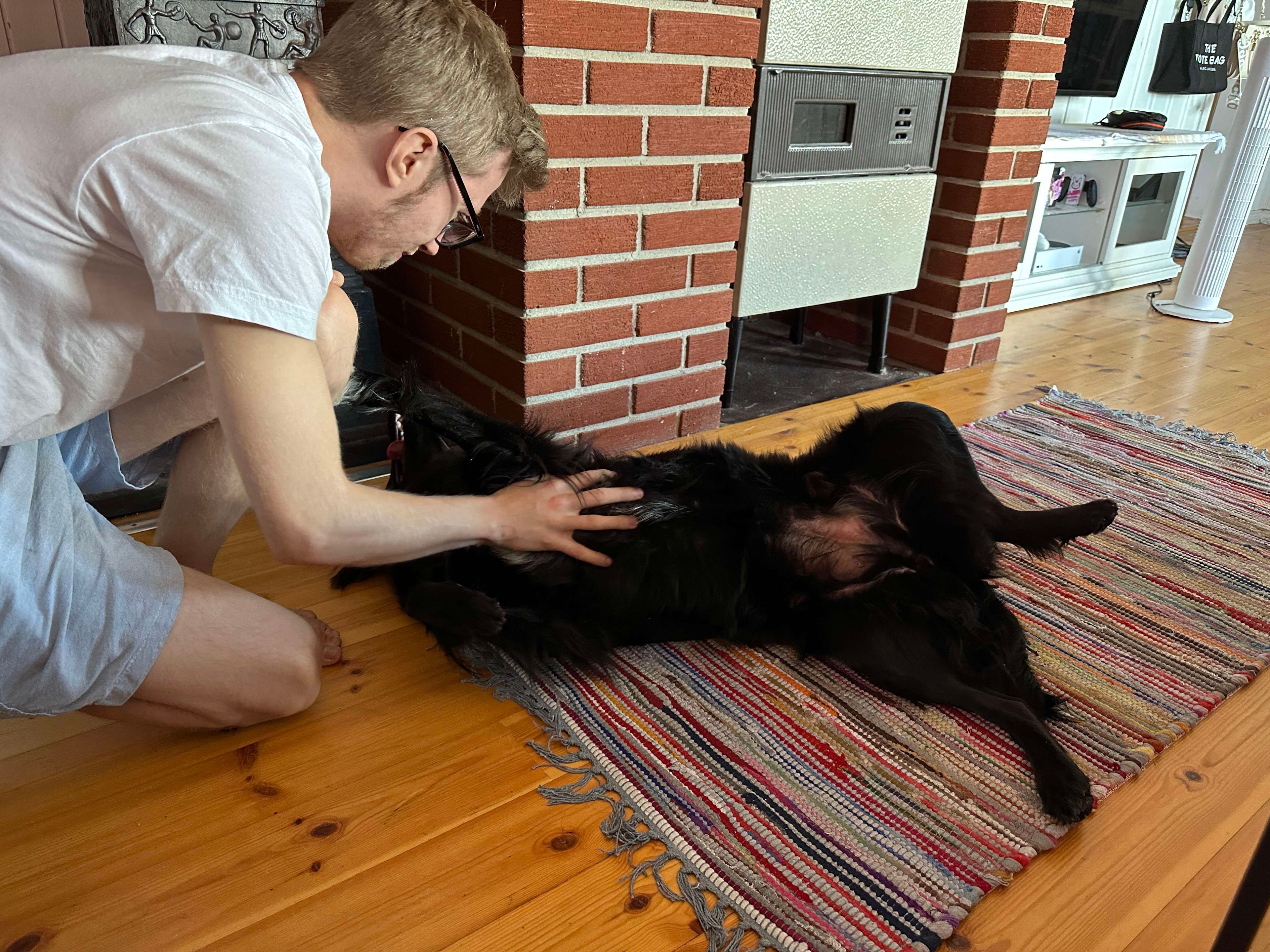 image-7
