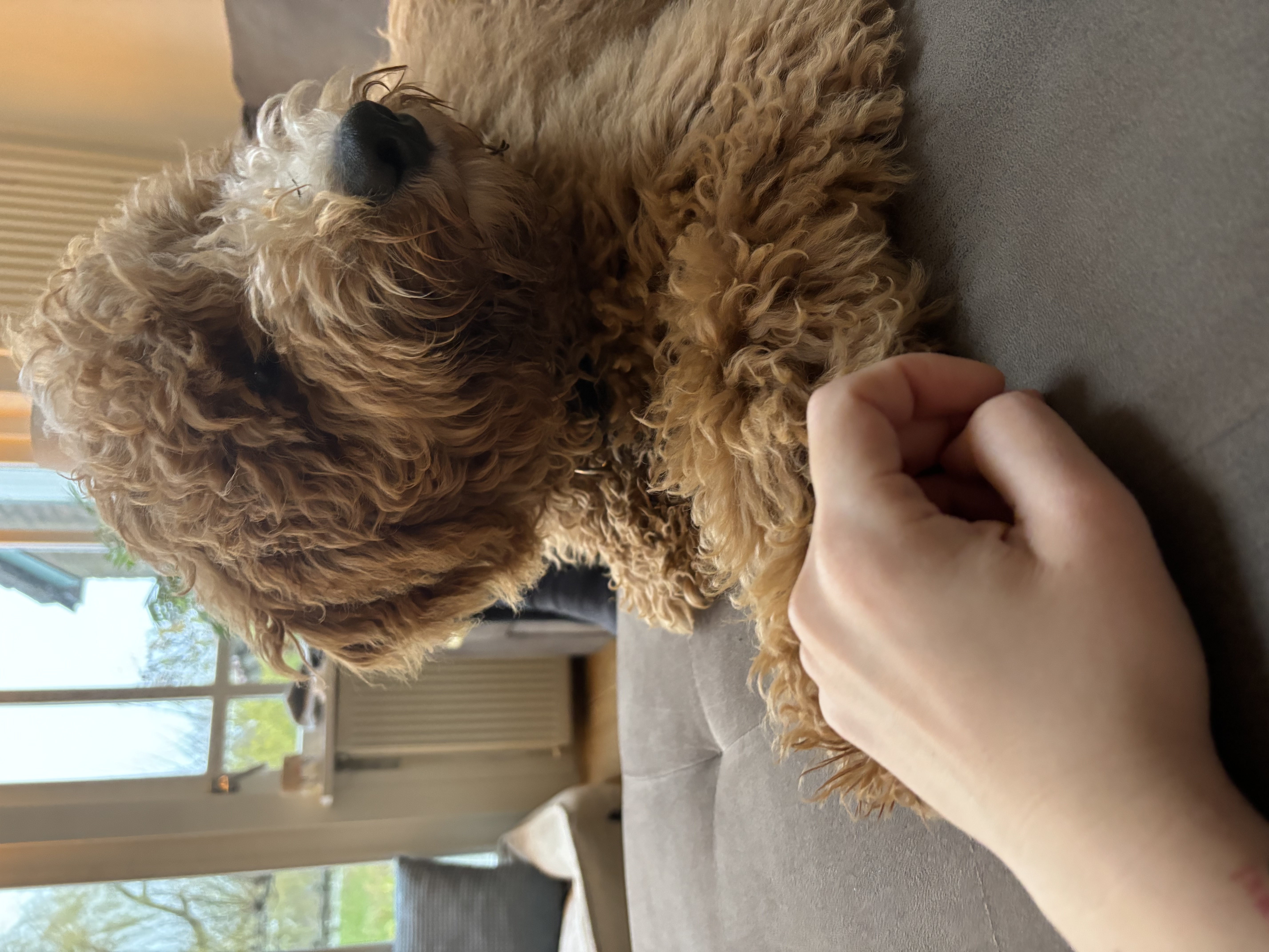 image-6