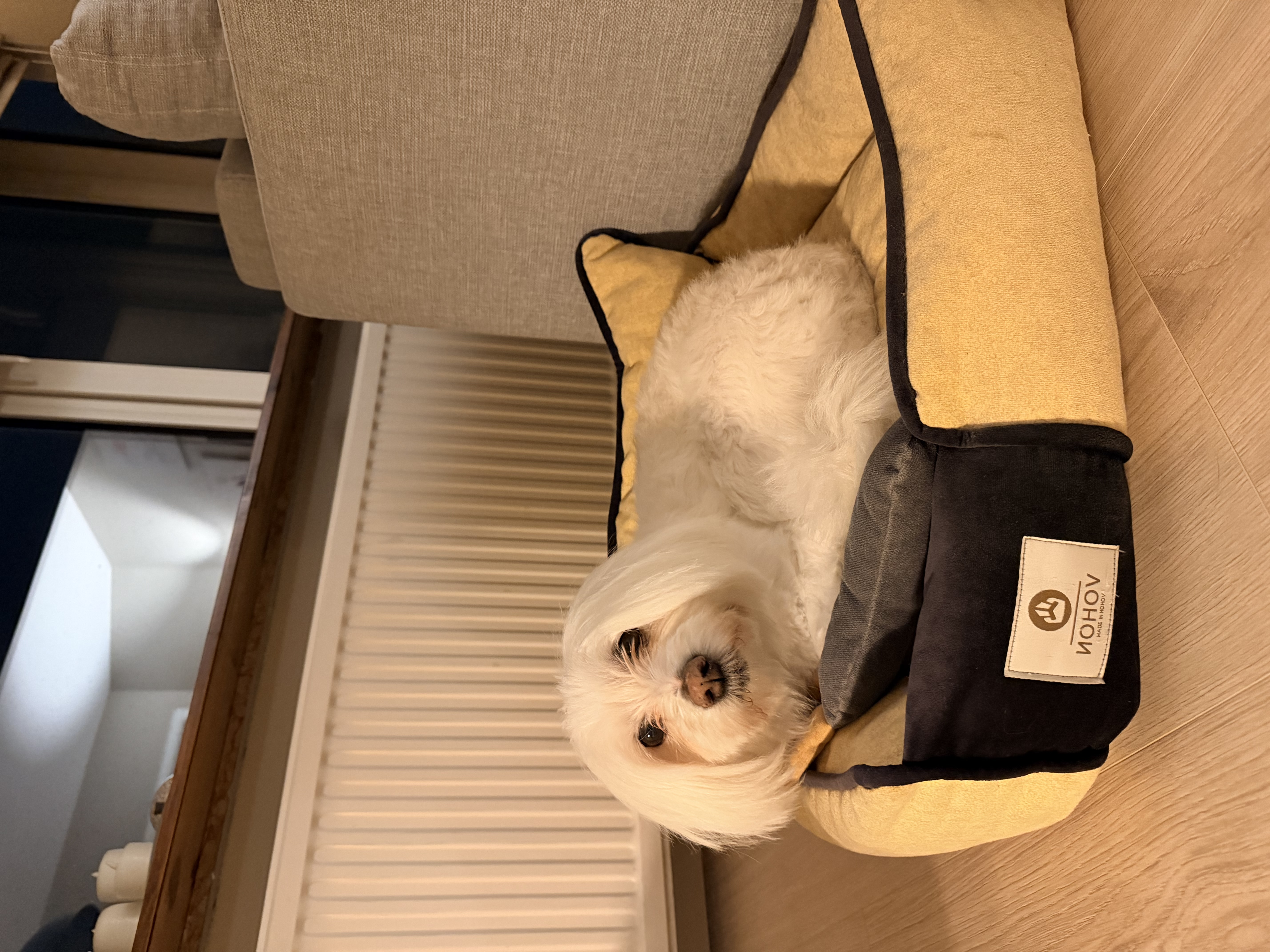 image-6
