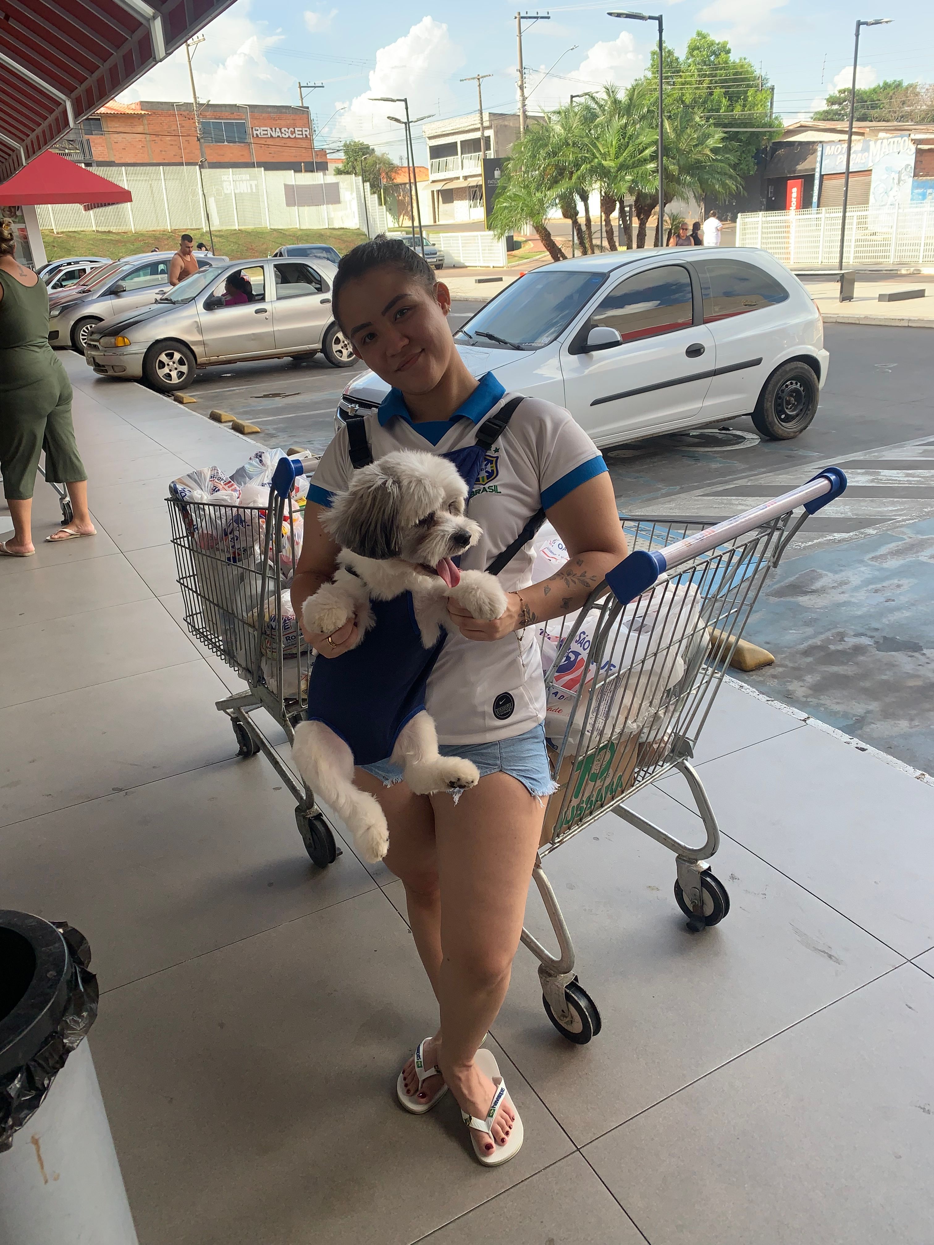 image-7