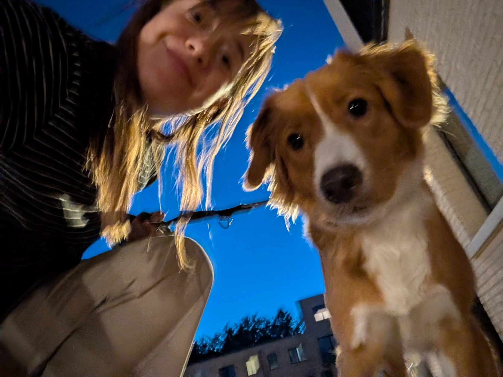 image-9