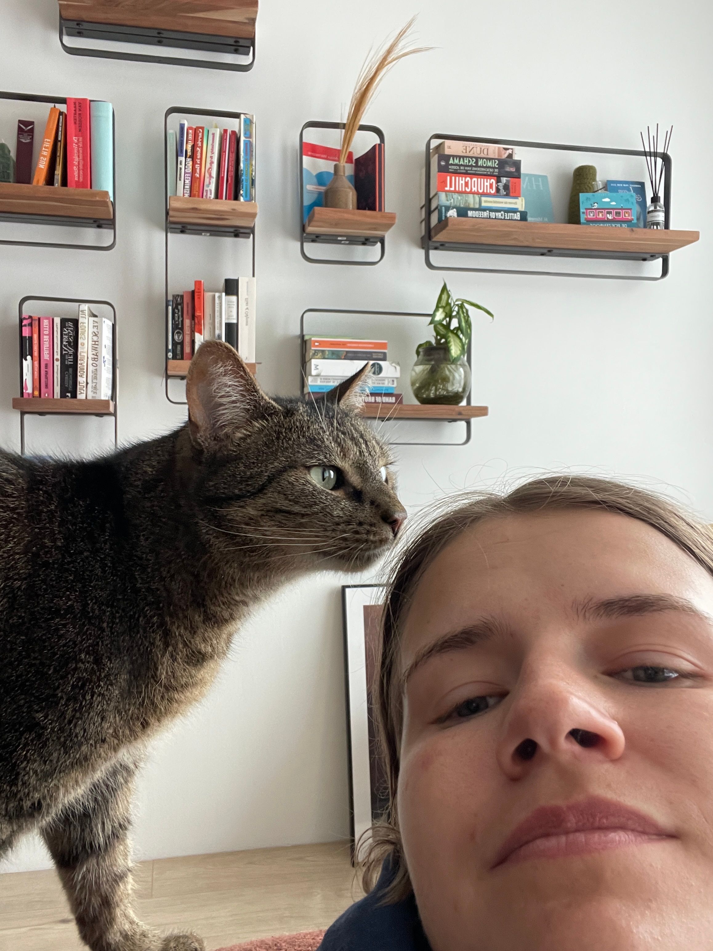 image-11