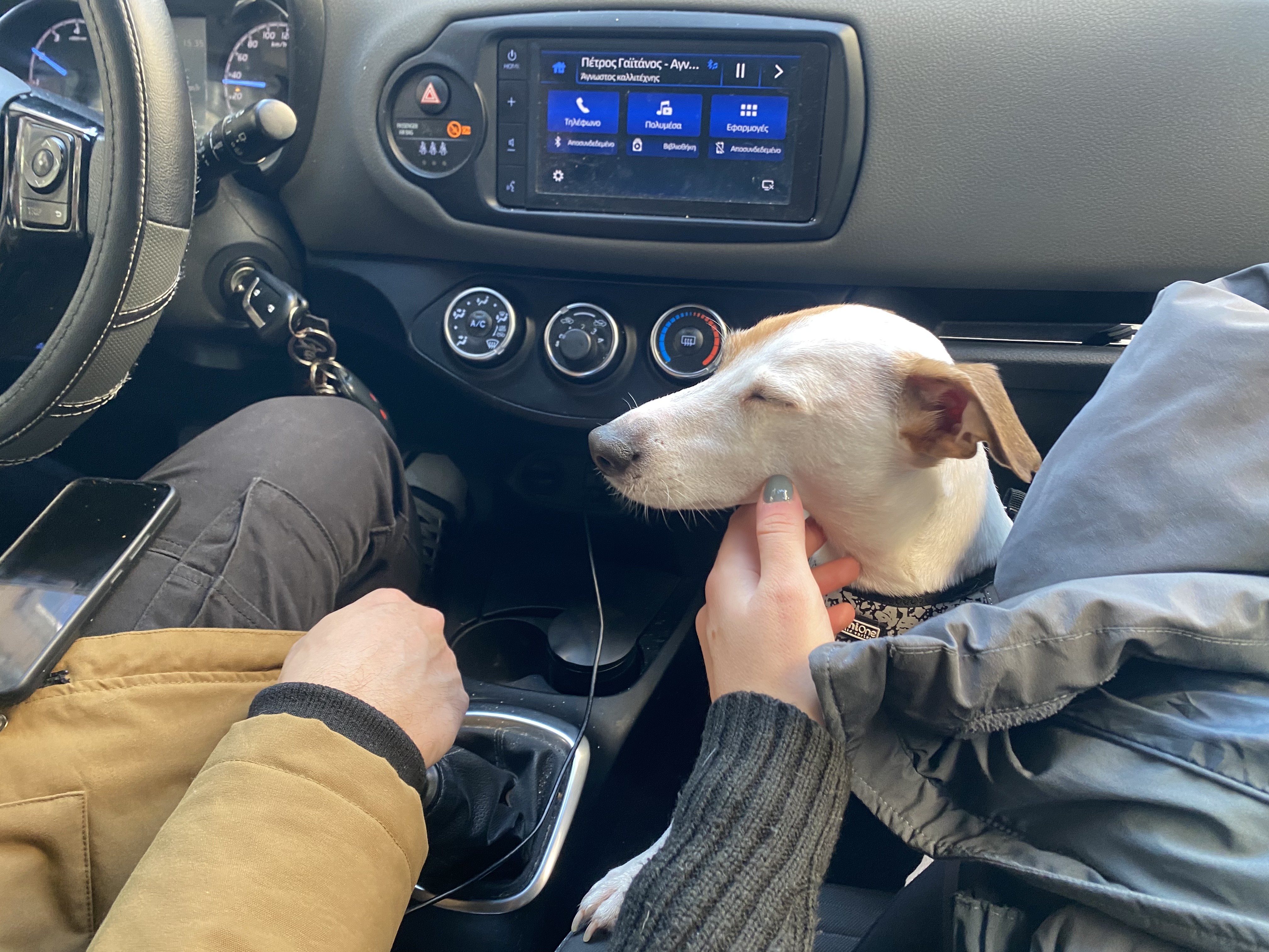 image-6