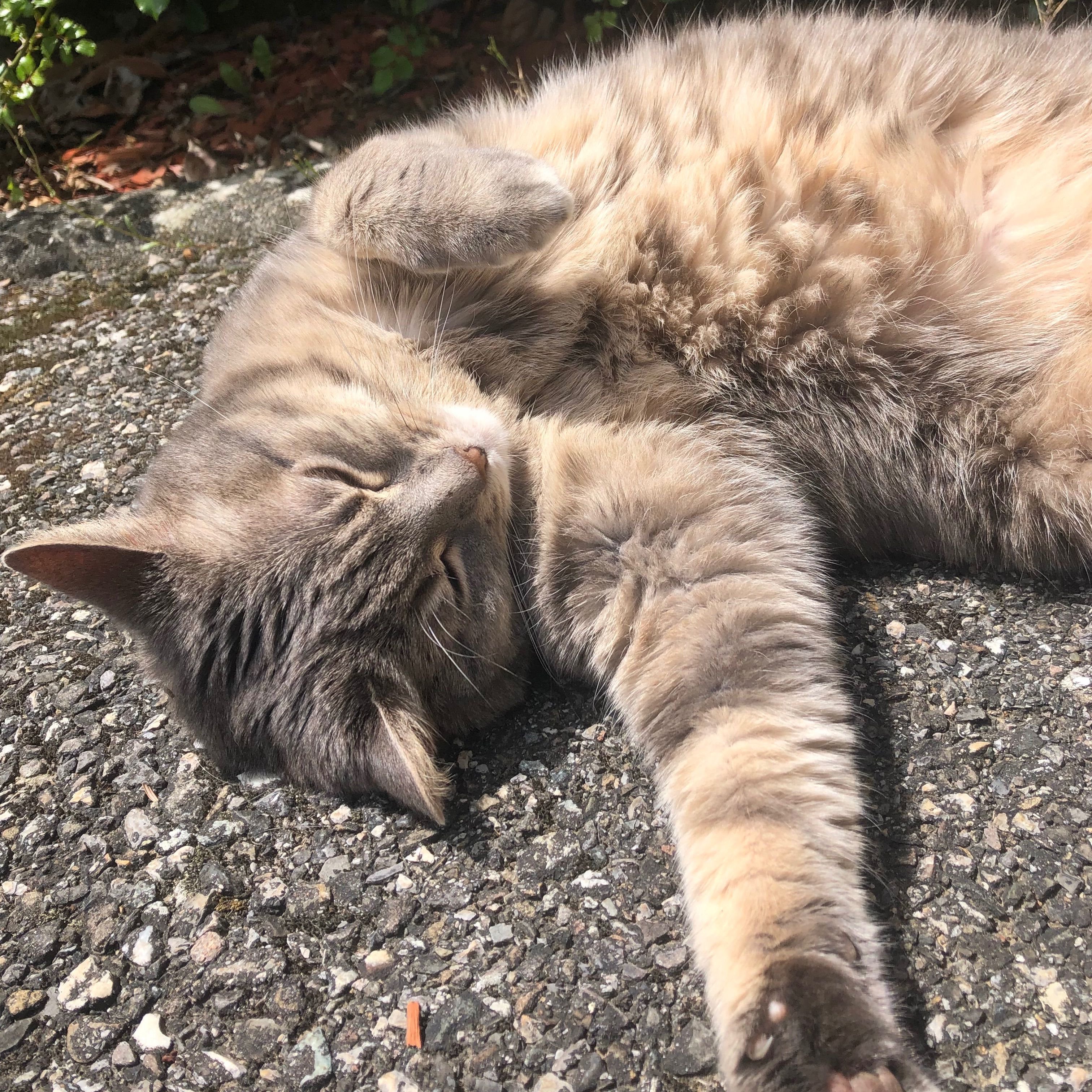 Luna