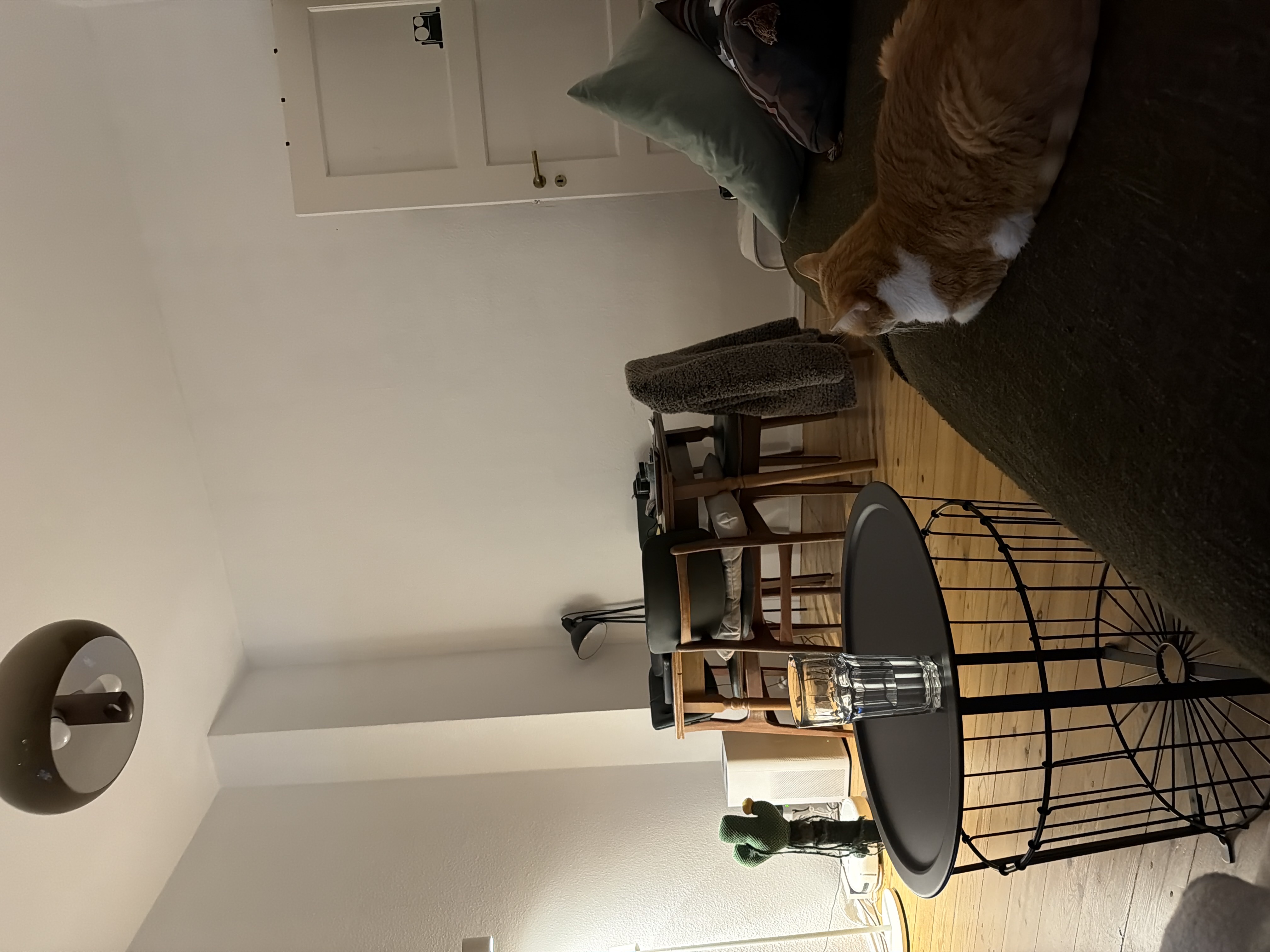 image-10
