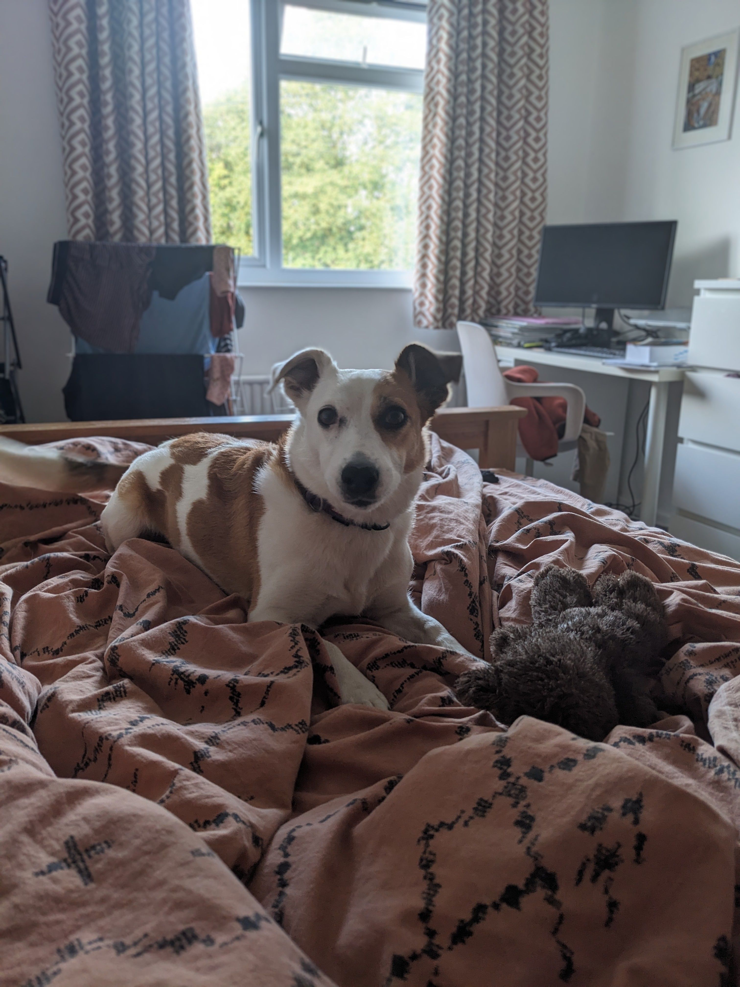 image-8
