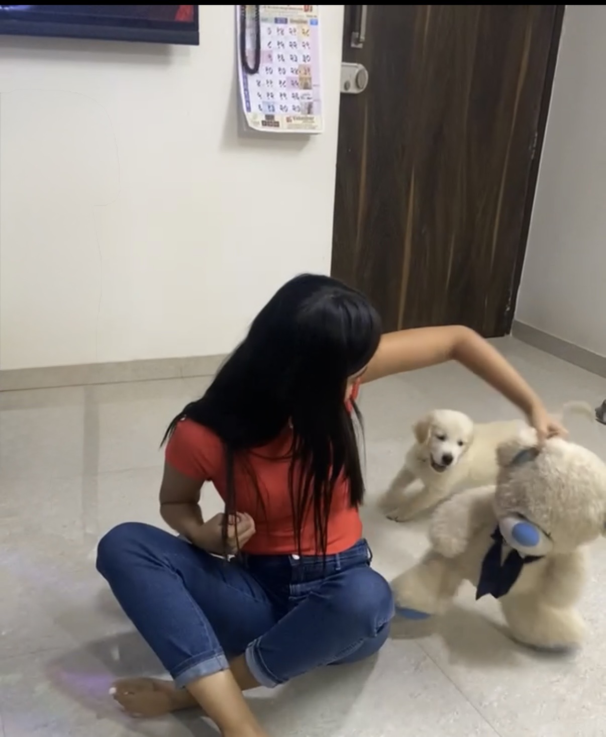 image-10