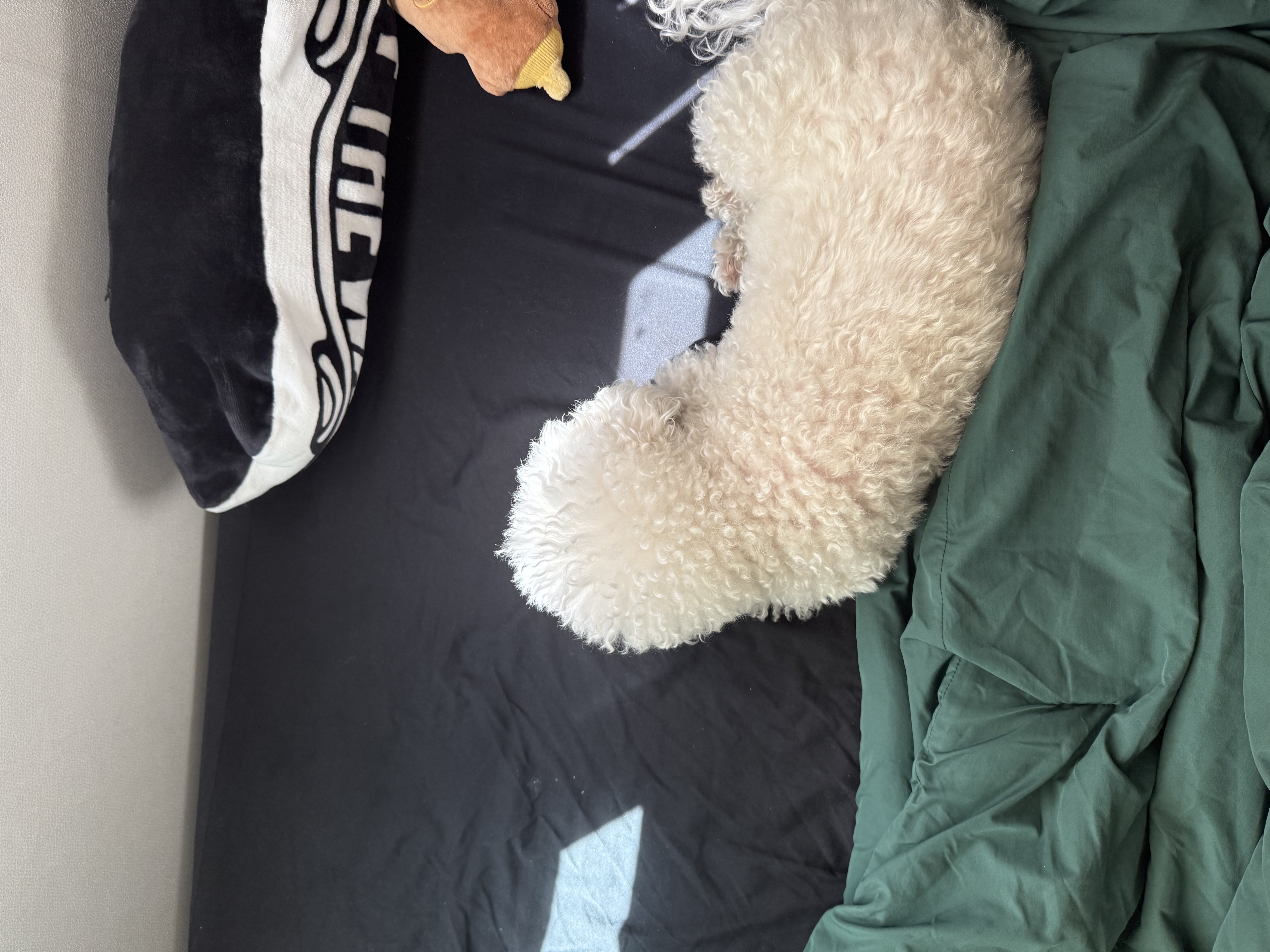 image-7