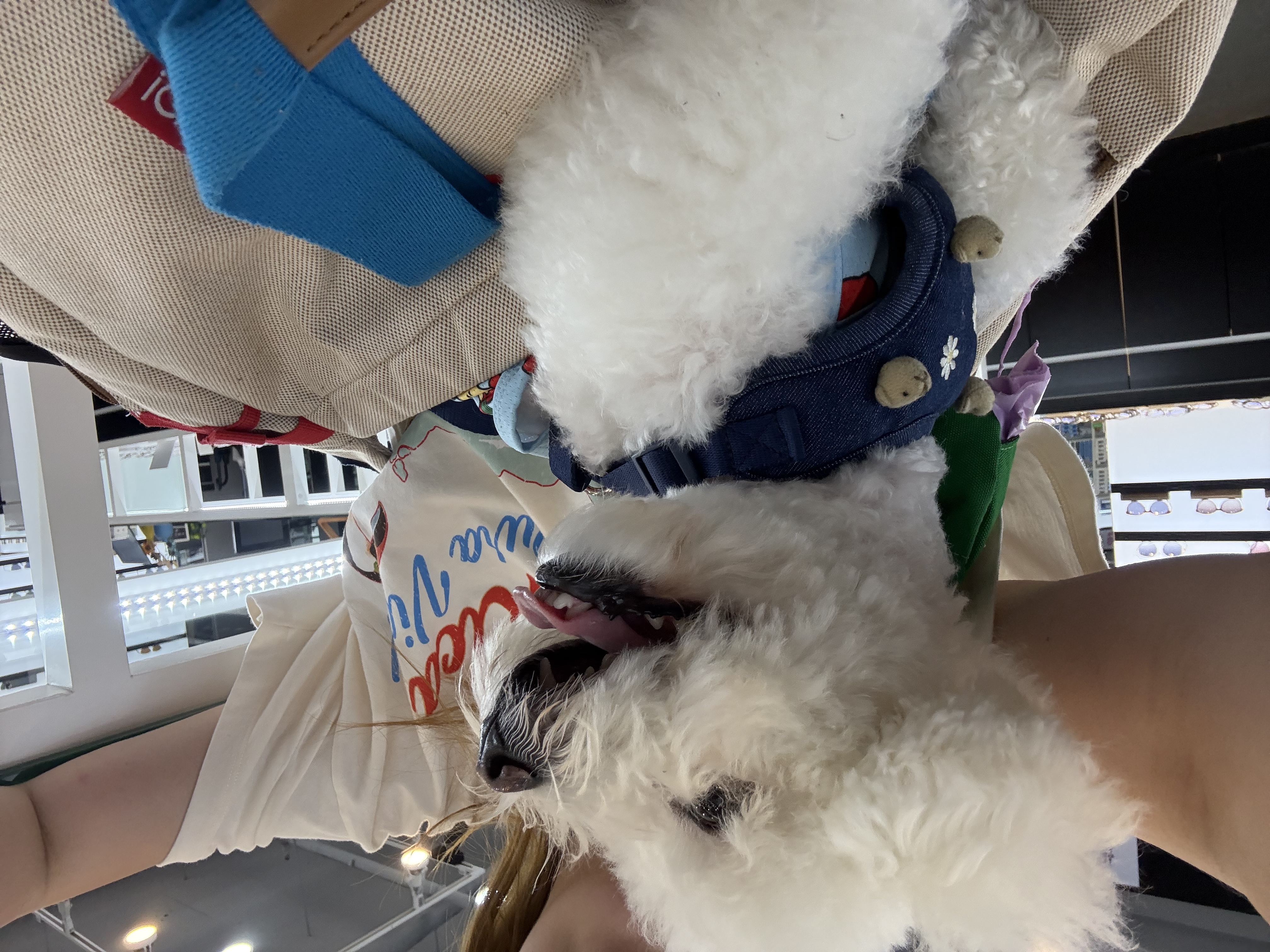 image-5