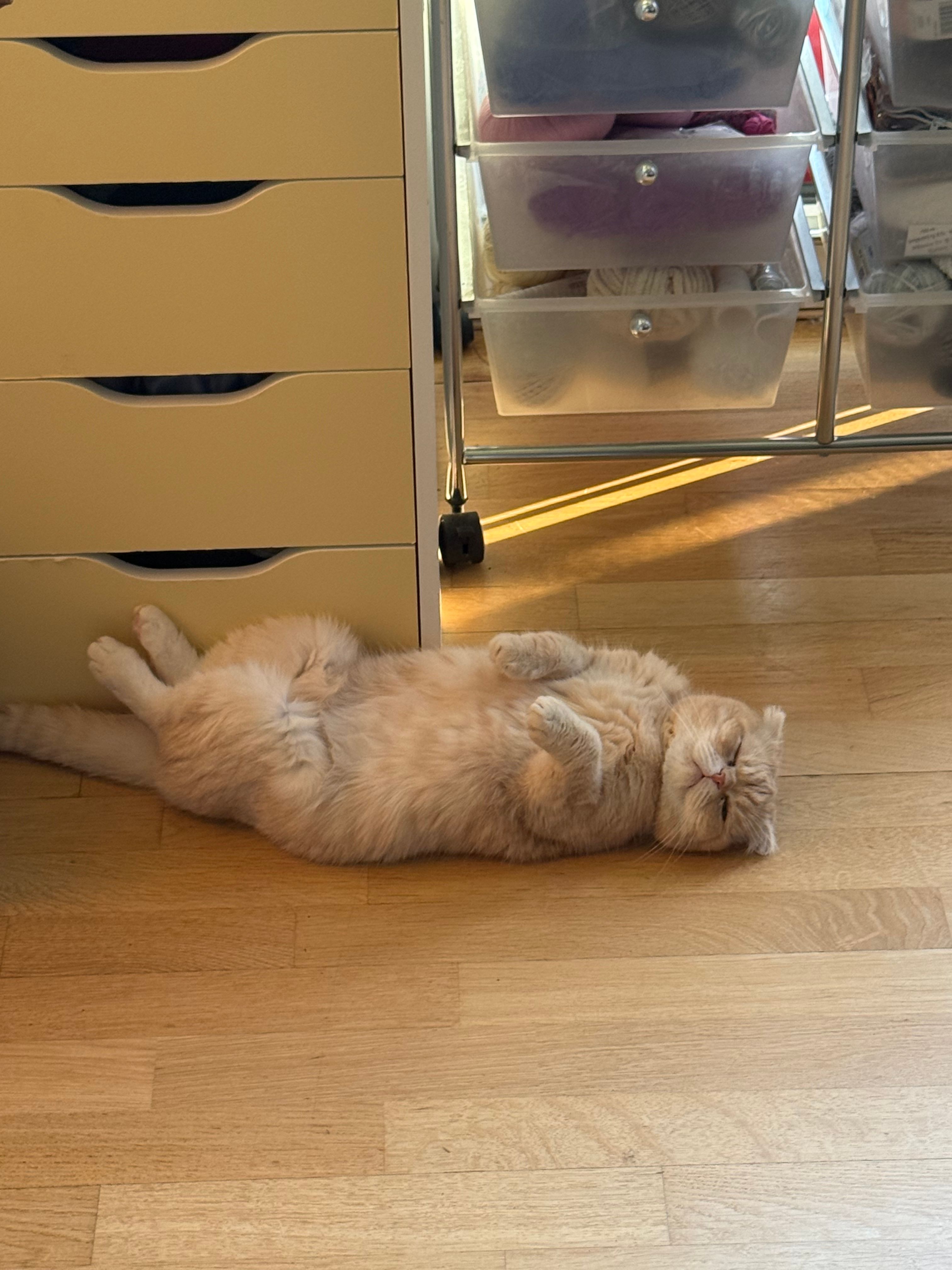 image-18