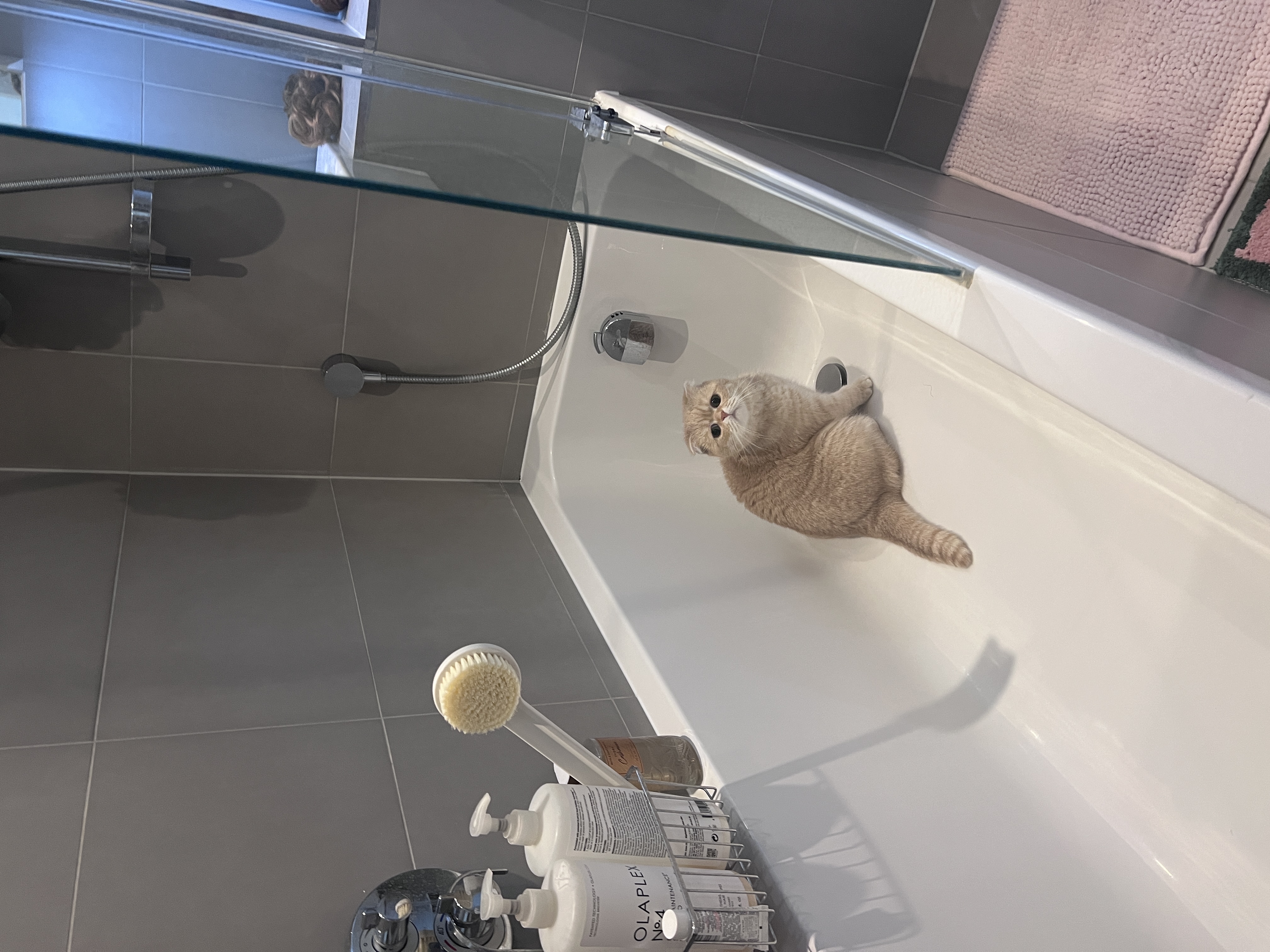 image-6