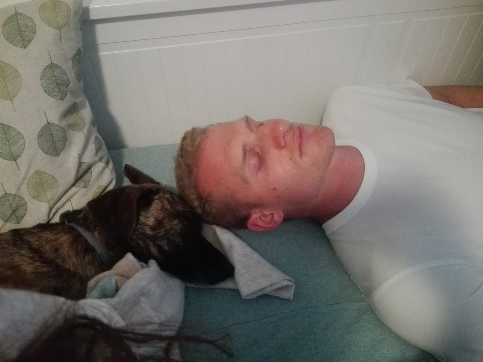 image-7