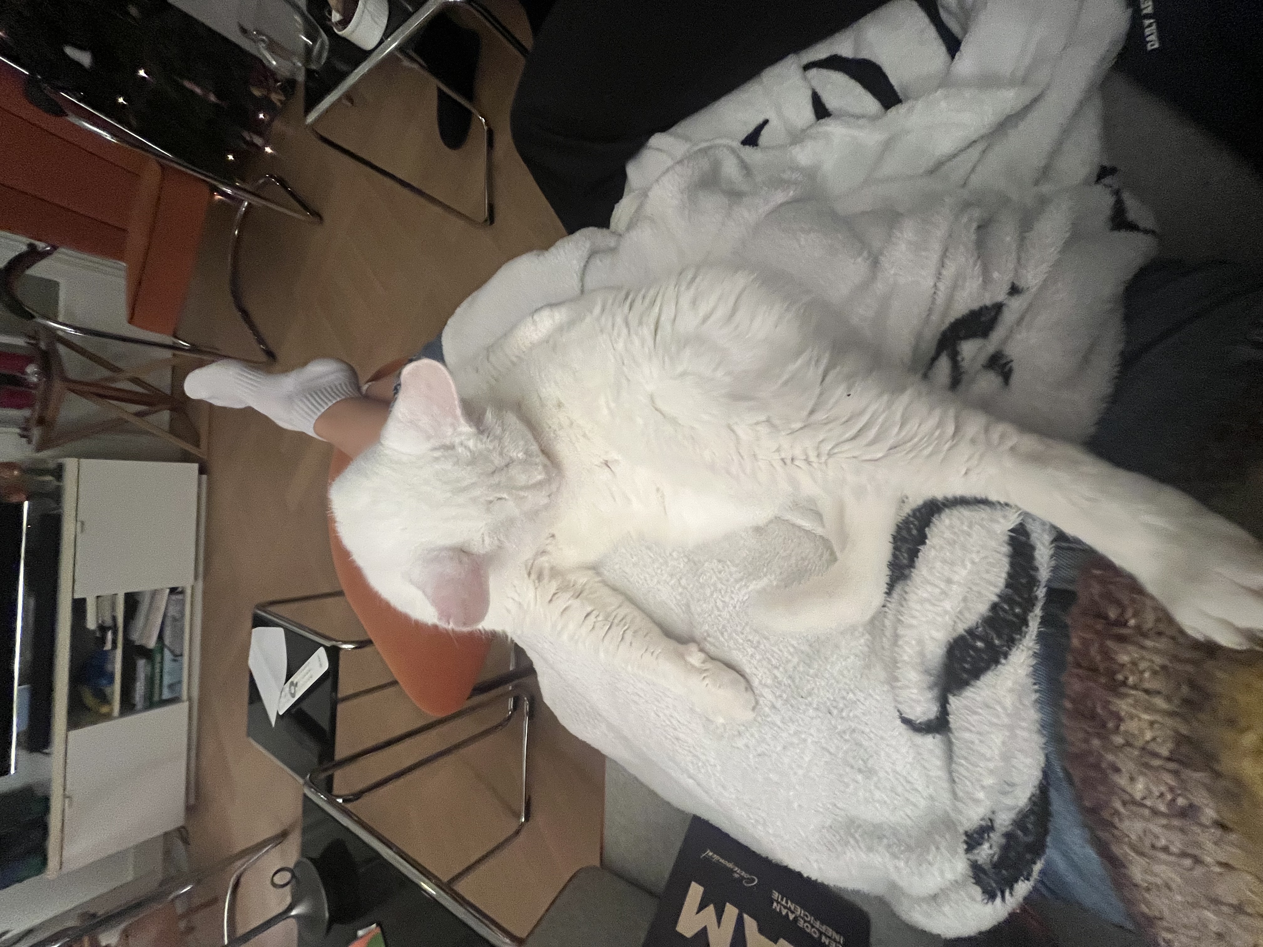 image-7