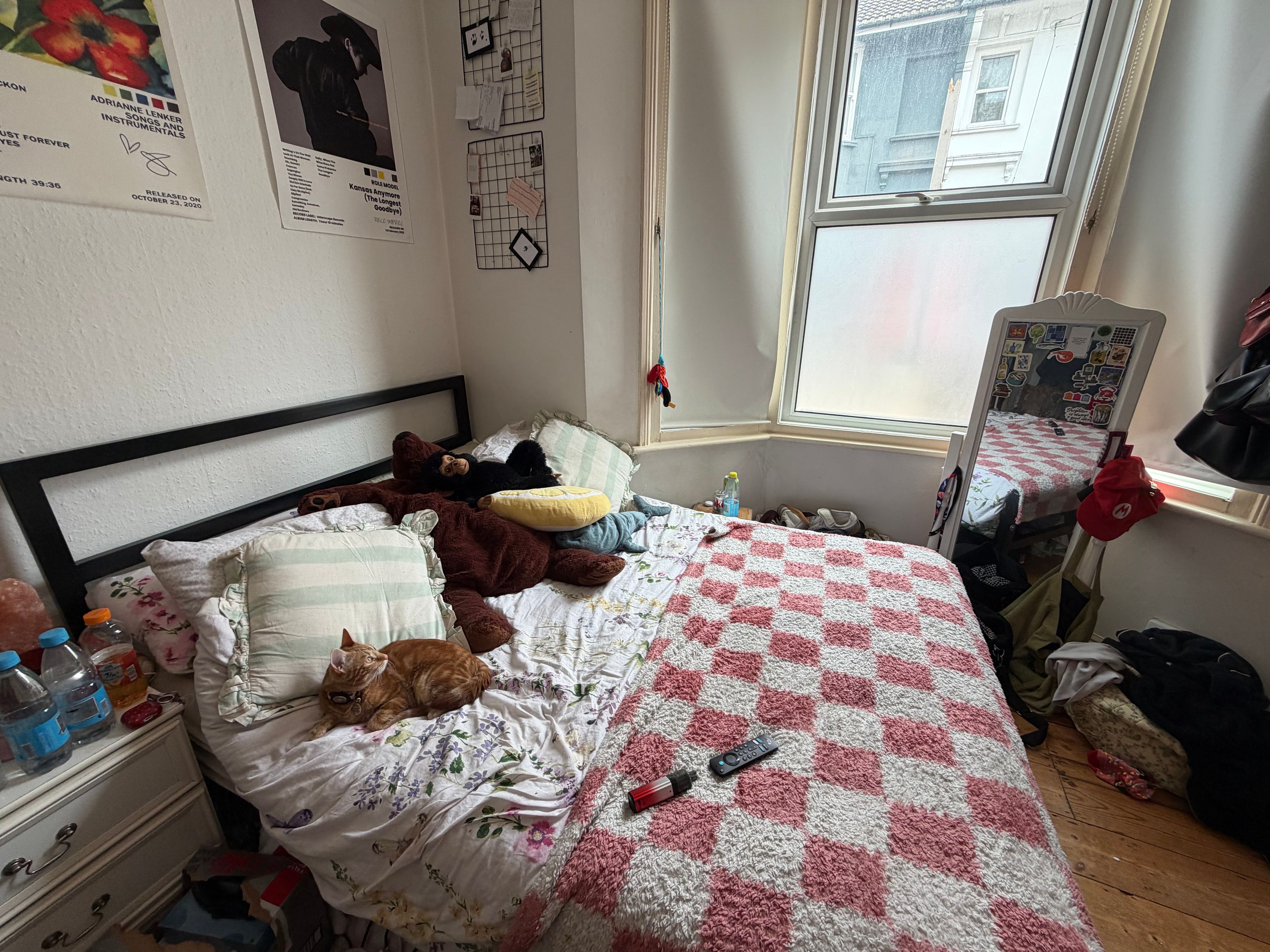 image-7