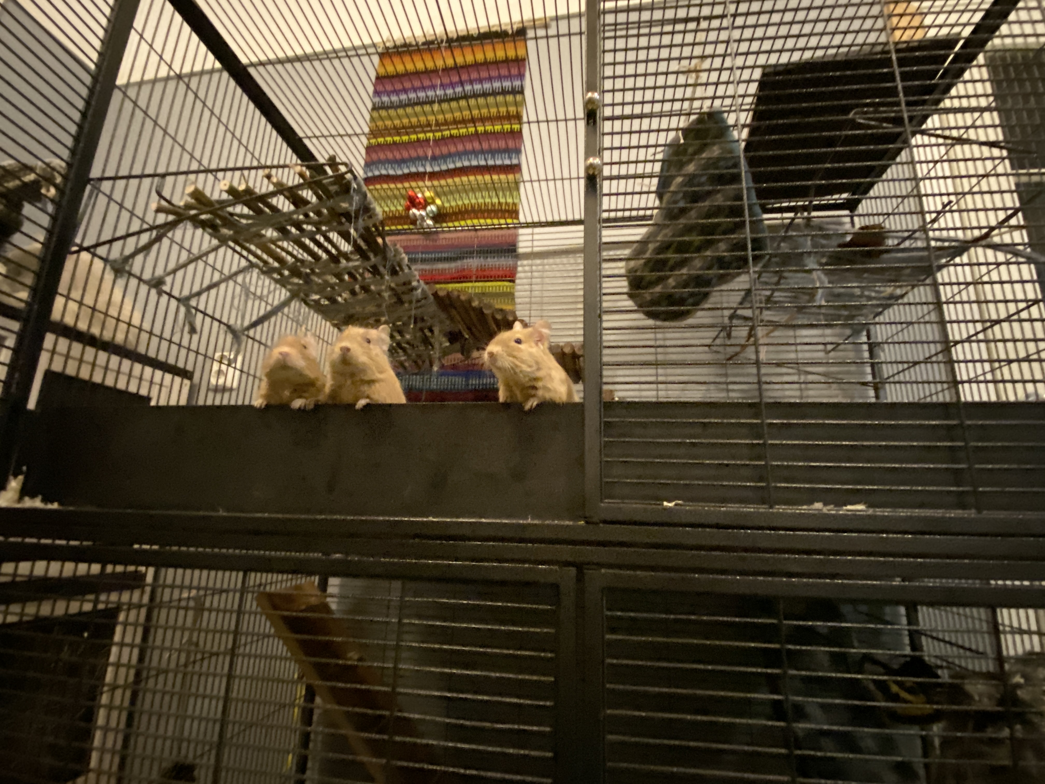 image-6