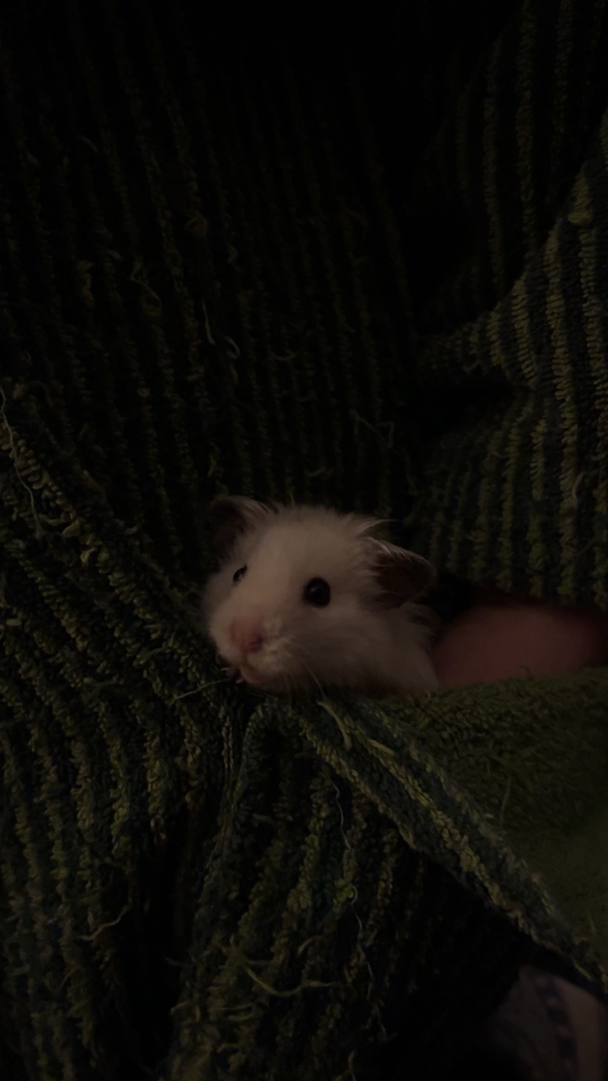 image-8