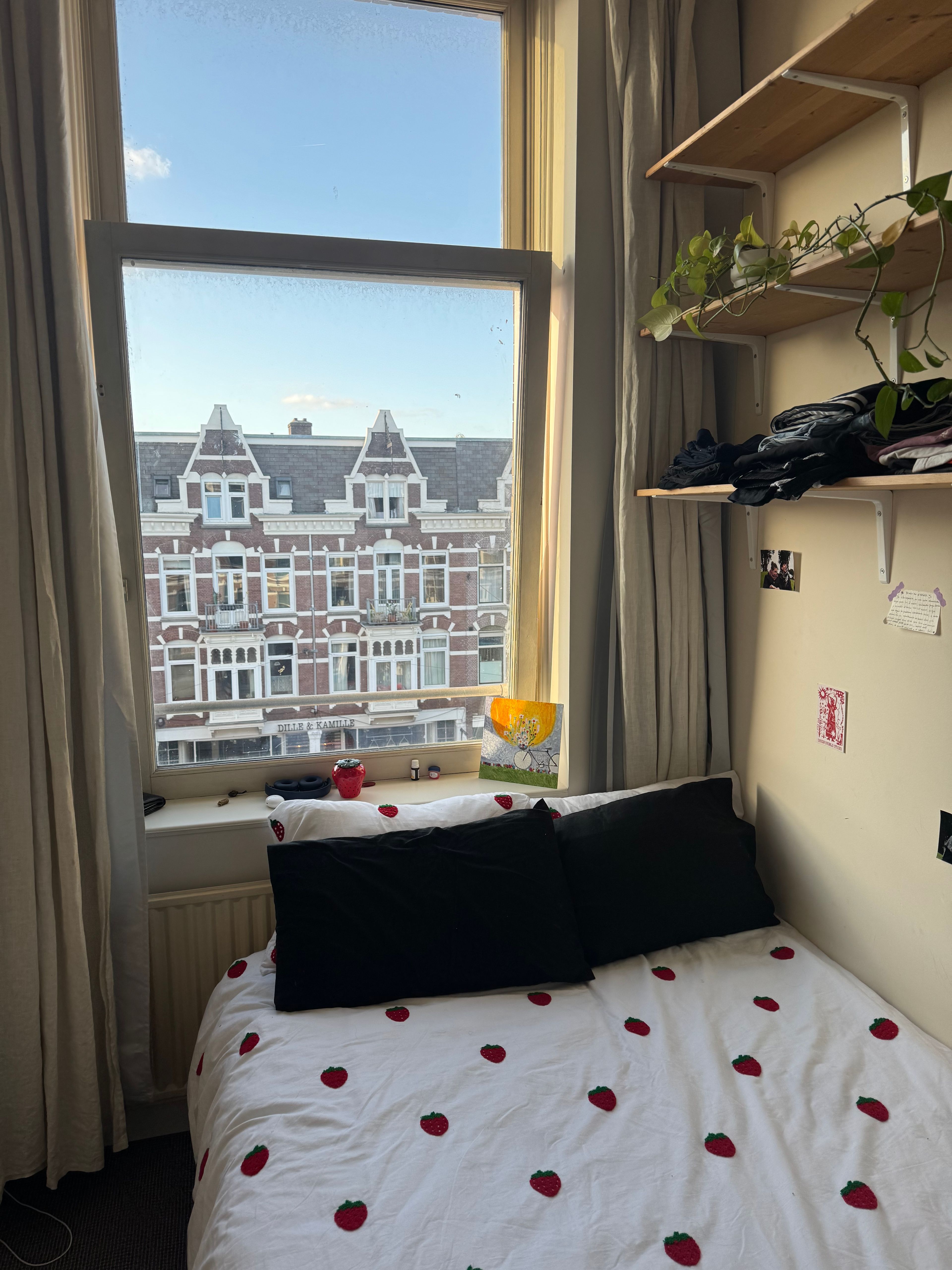 image-10