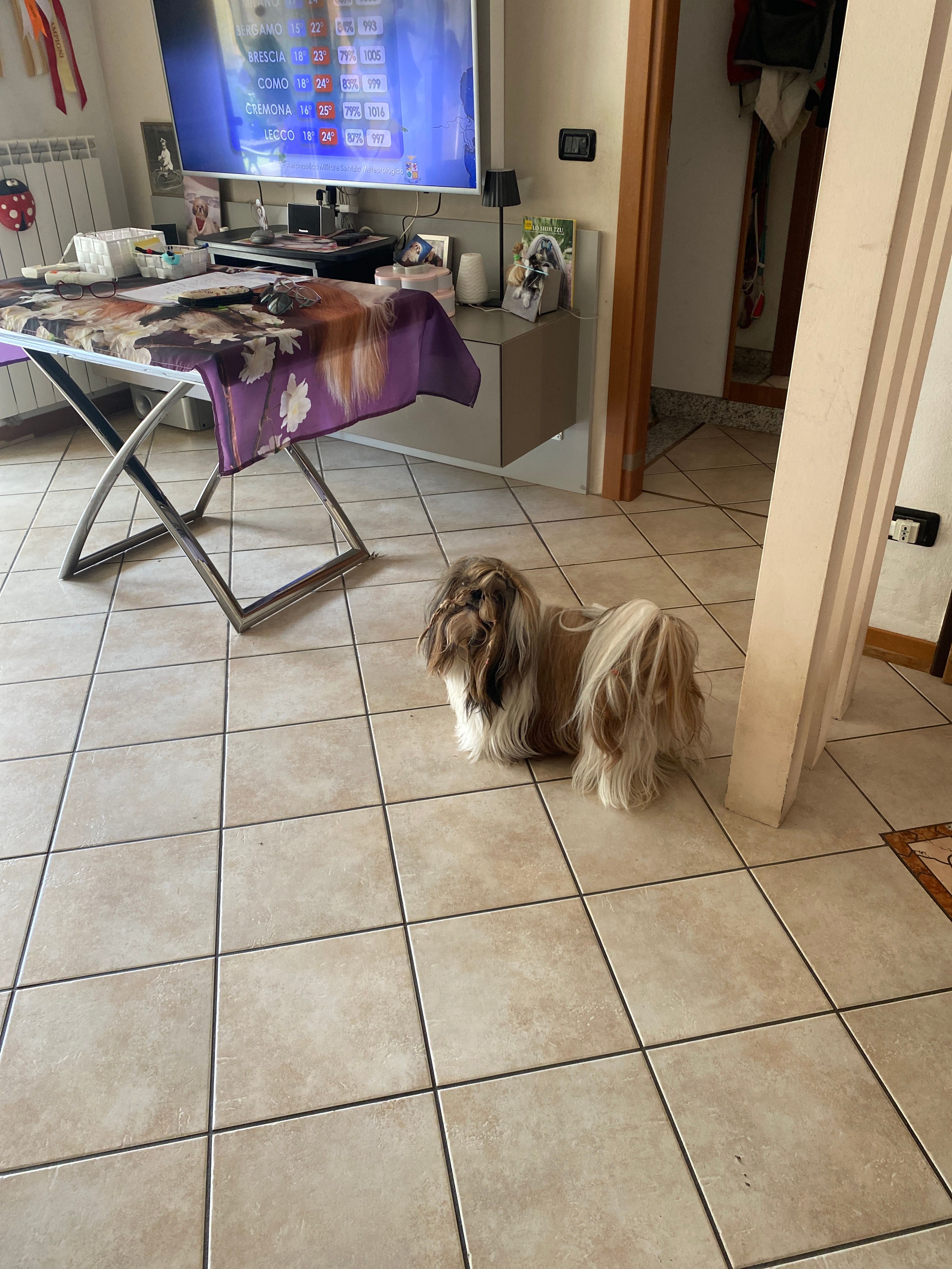 image-23