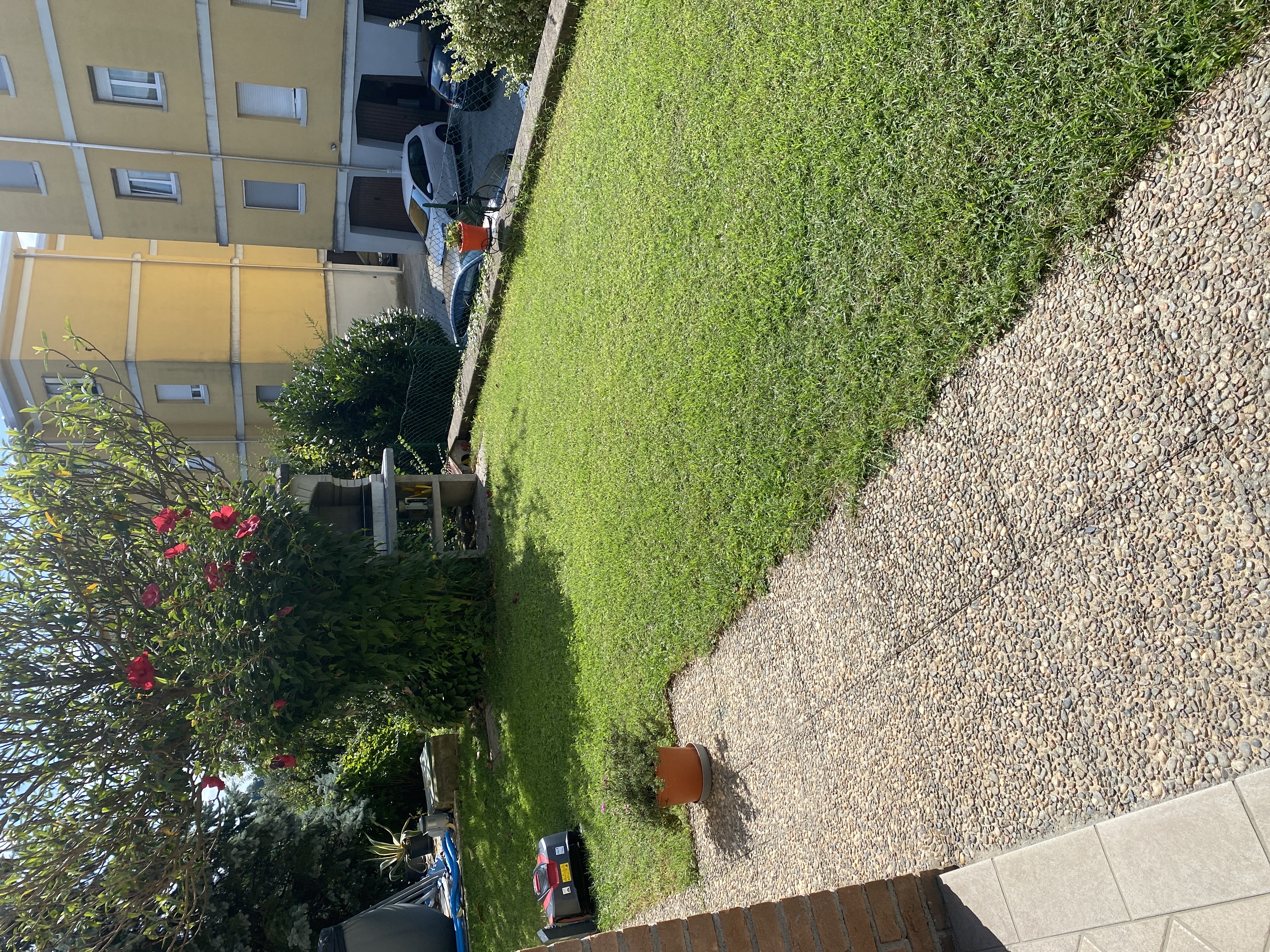 image-19