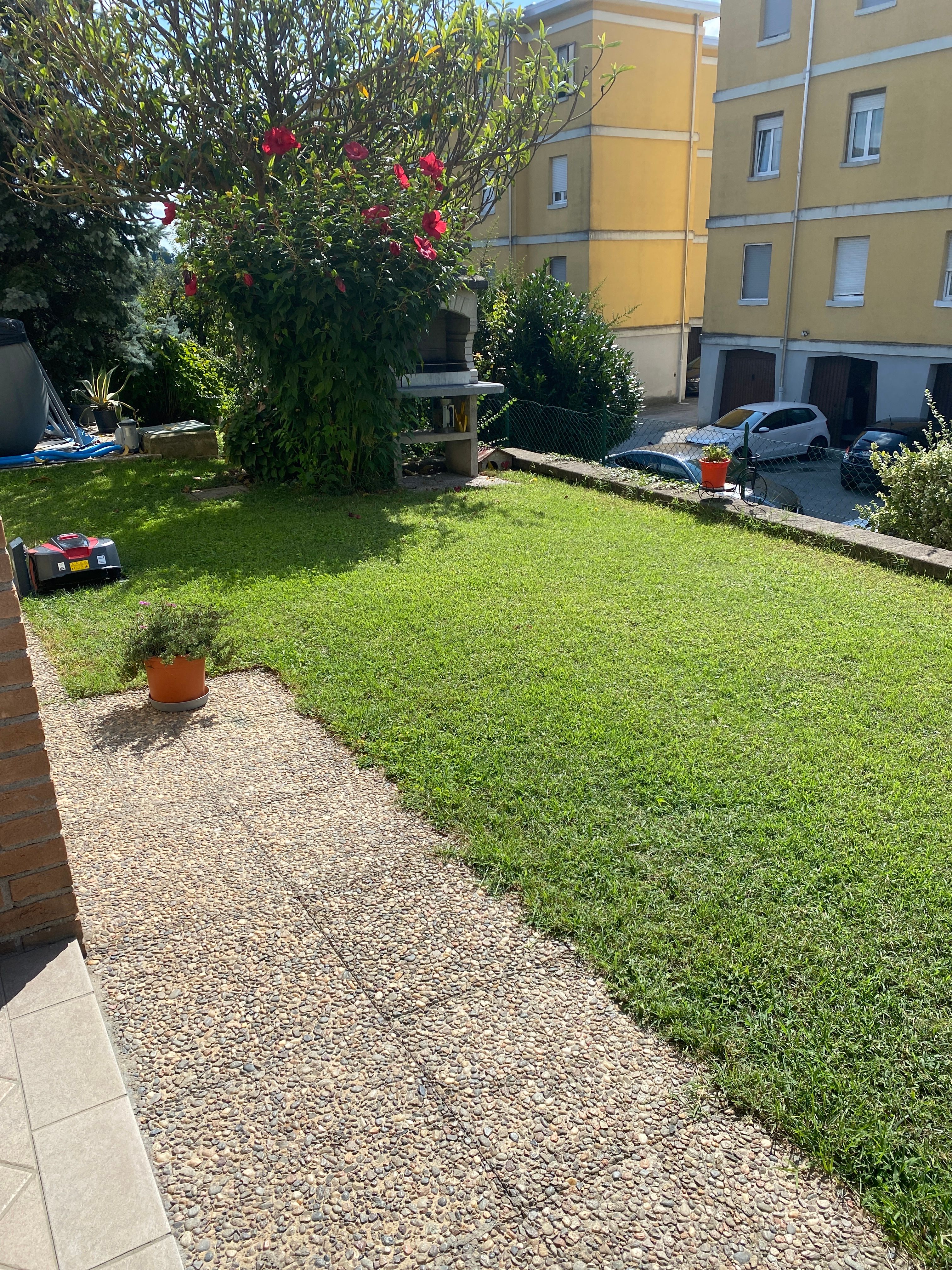 image-19