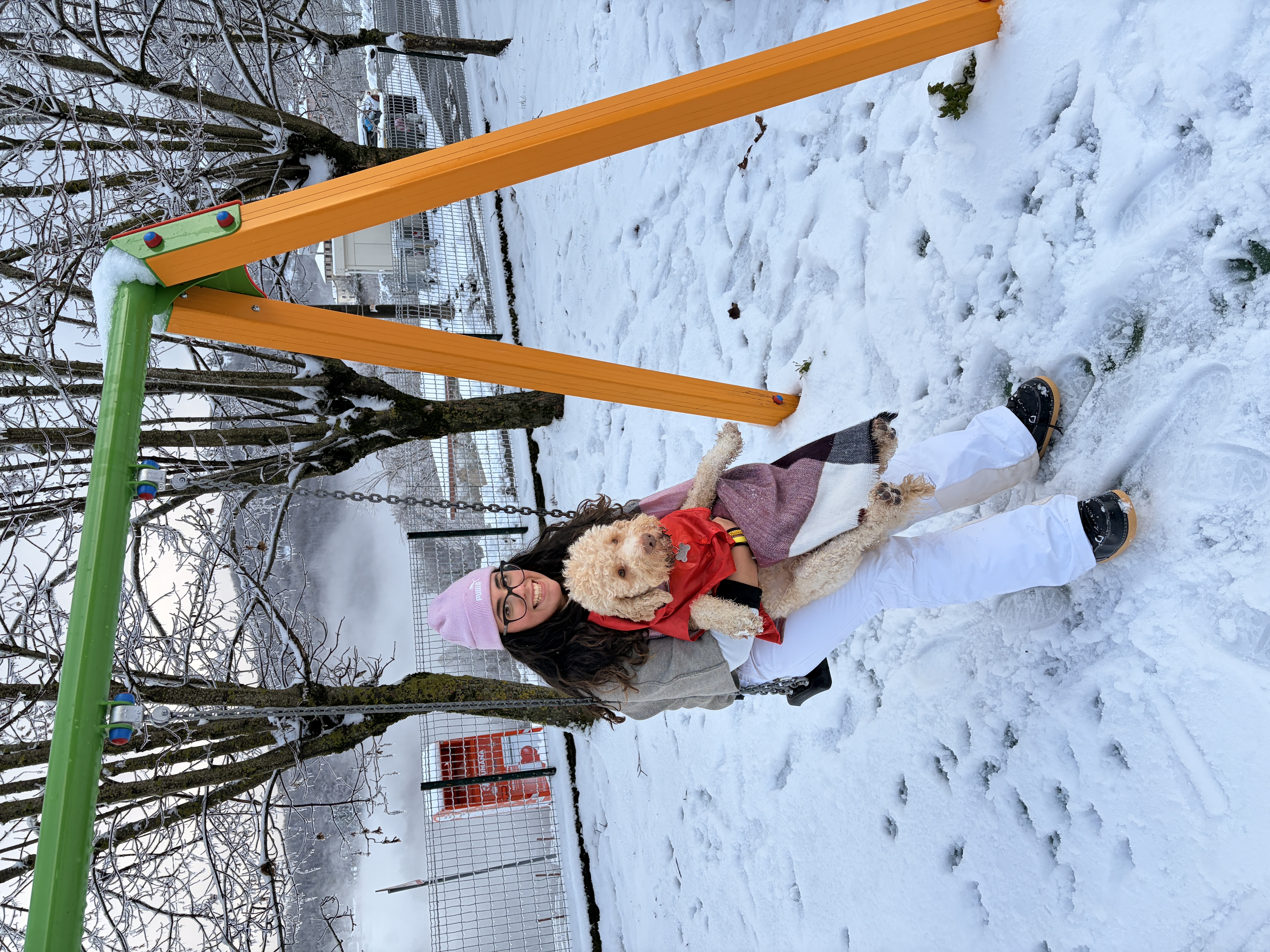 image-11