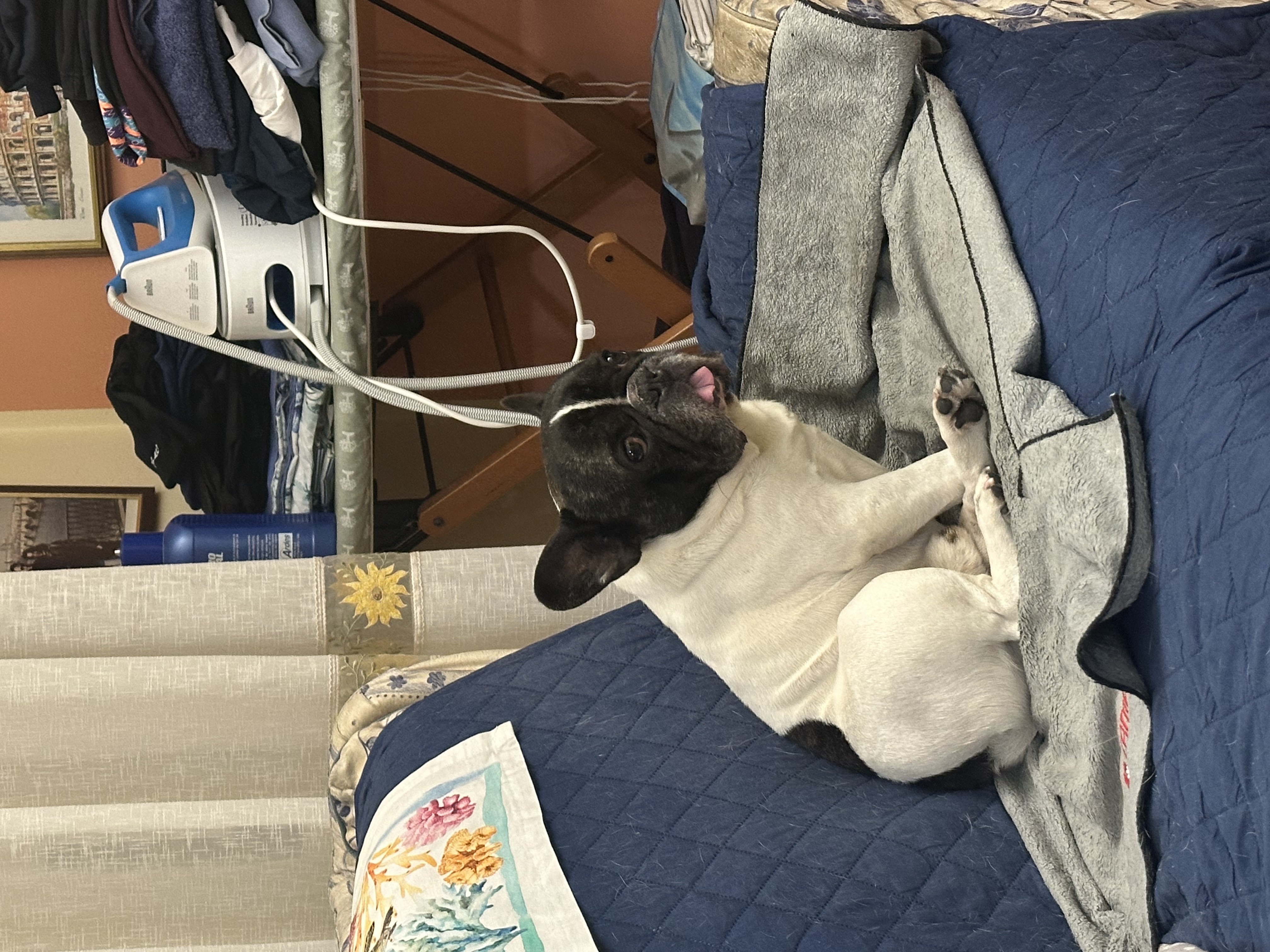 image-6