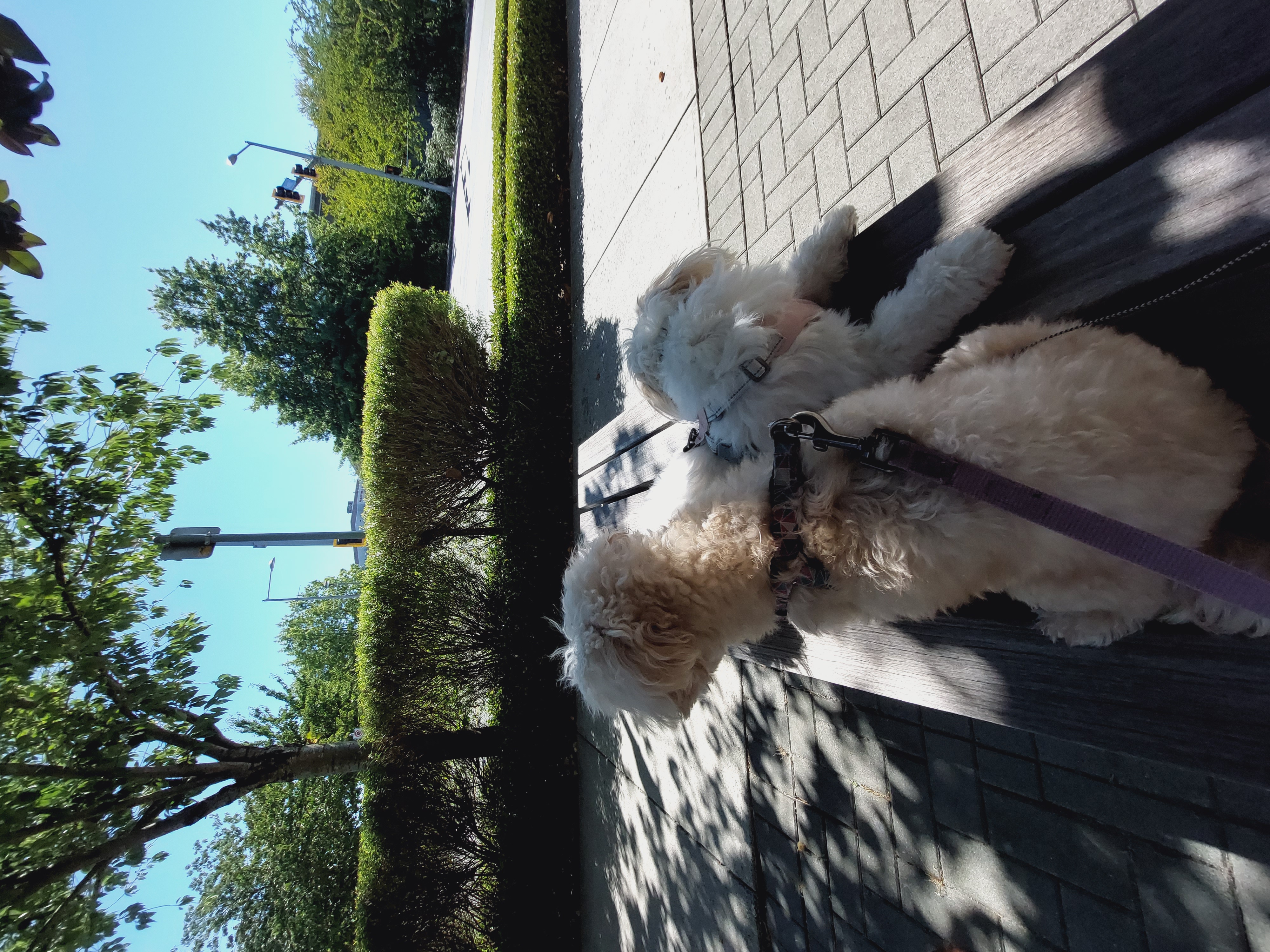 image-22