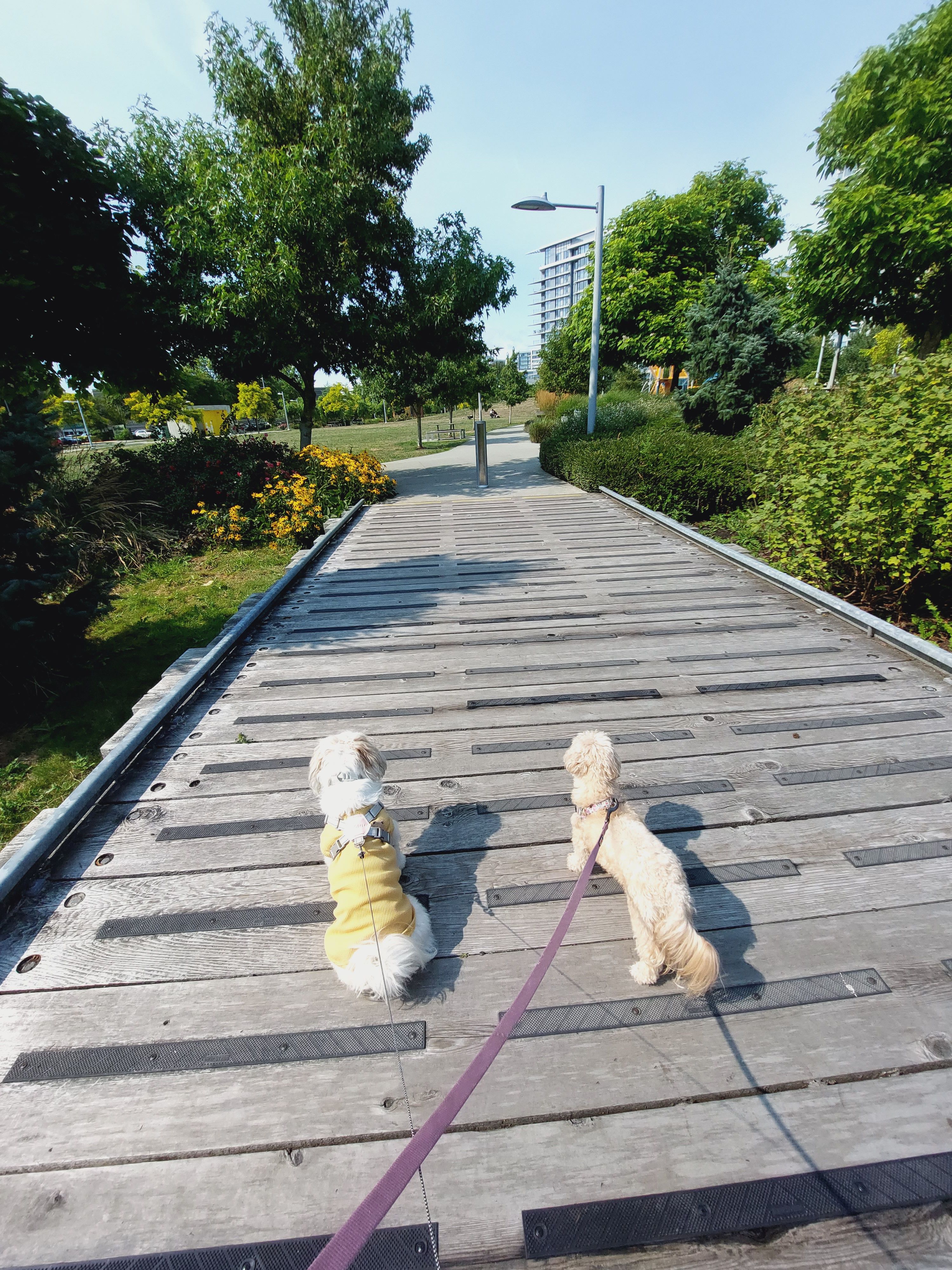 image-20