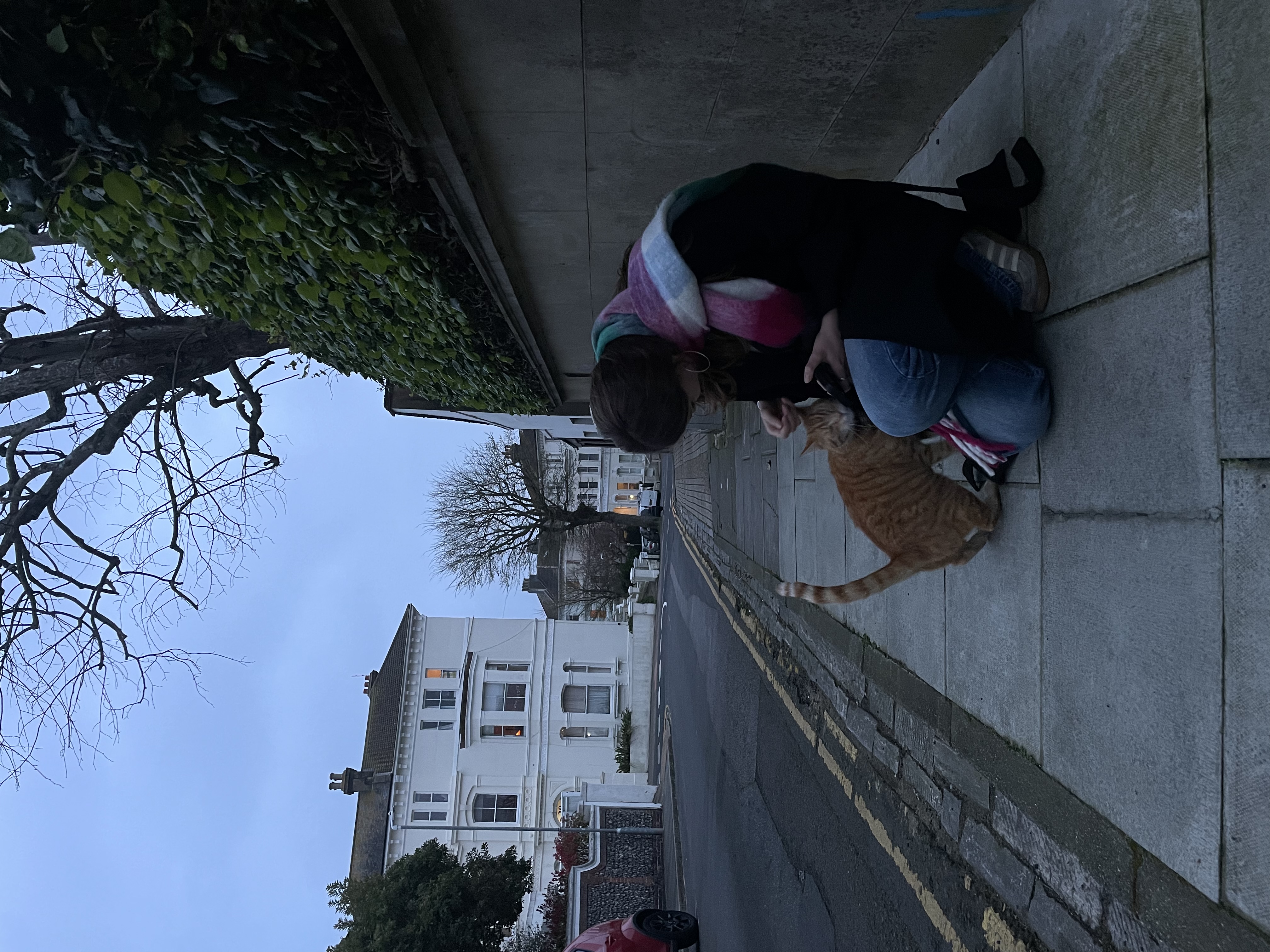 image-3