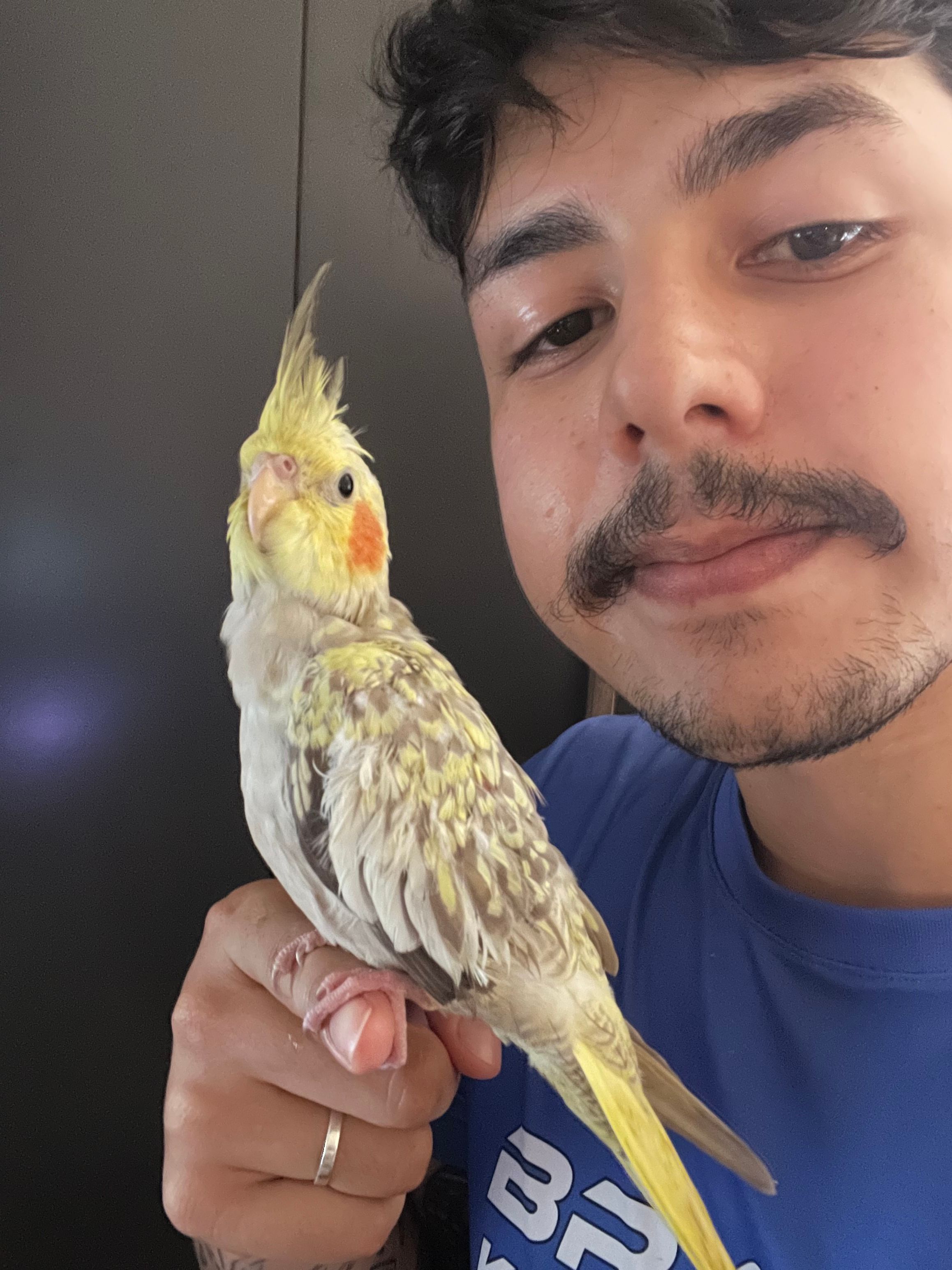 image-1