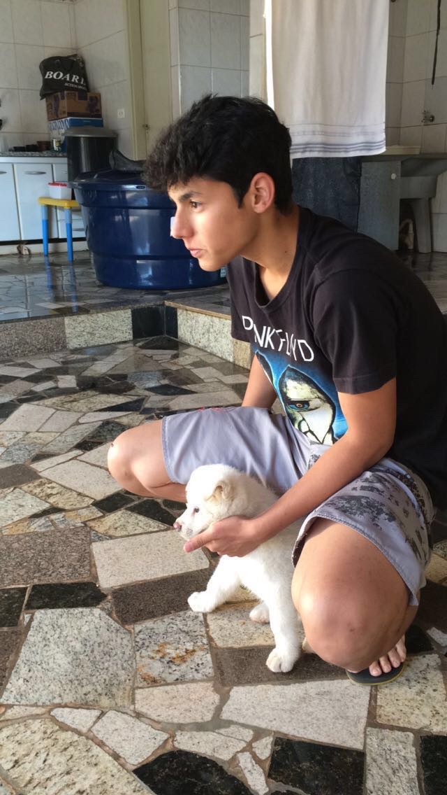 image-7