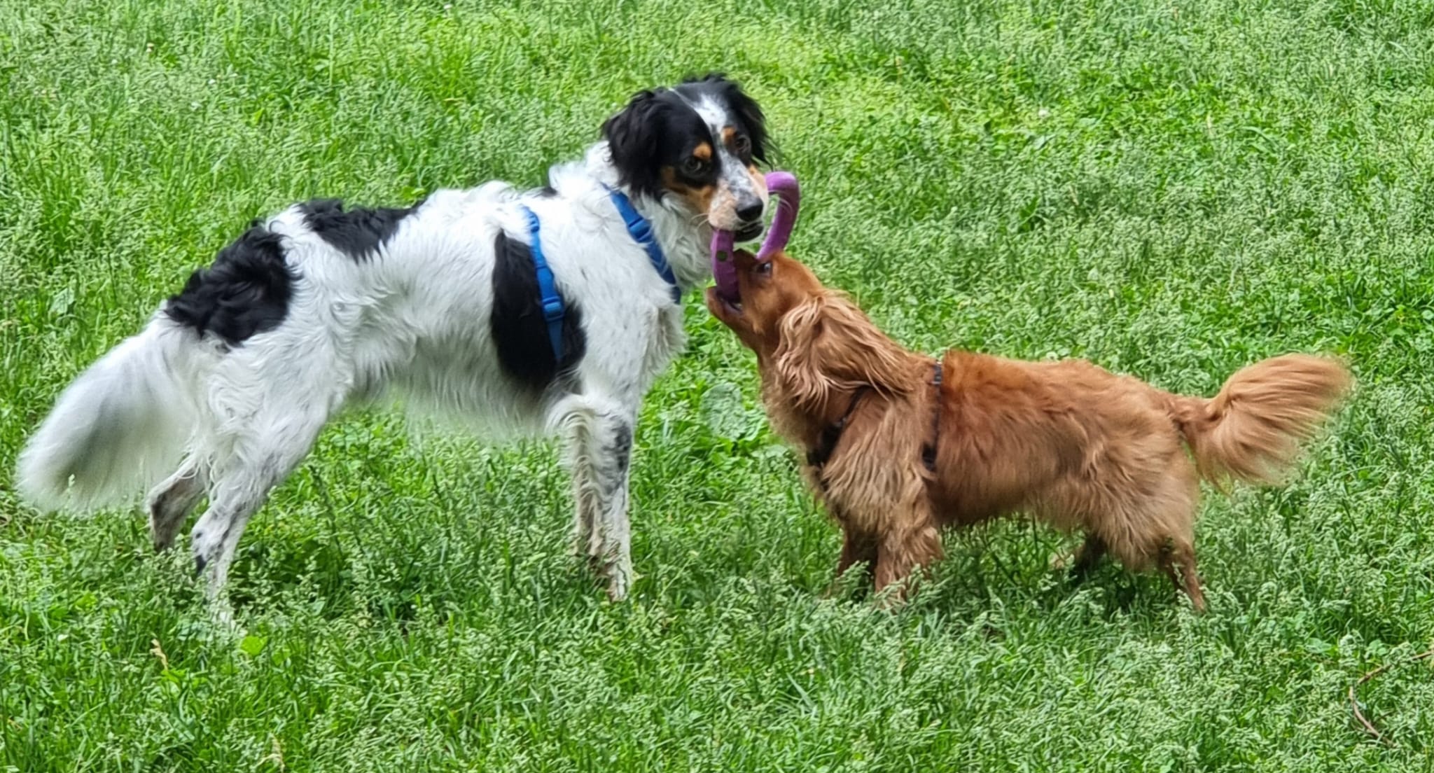 image-18