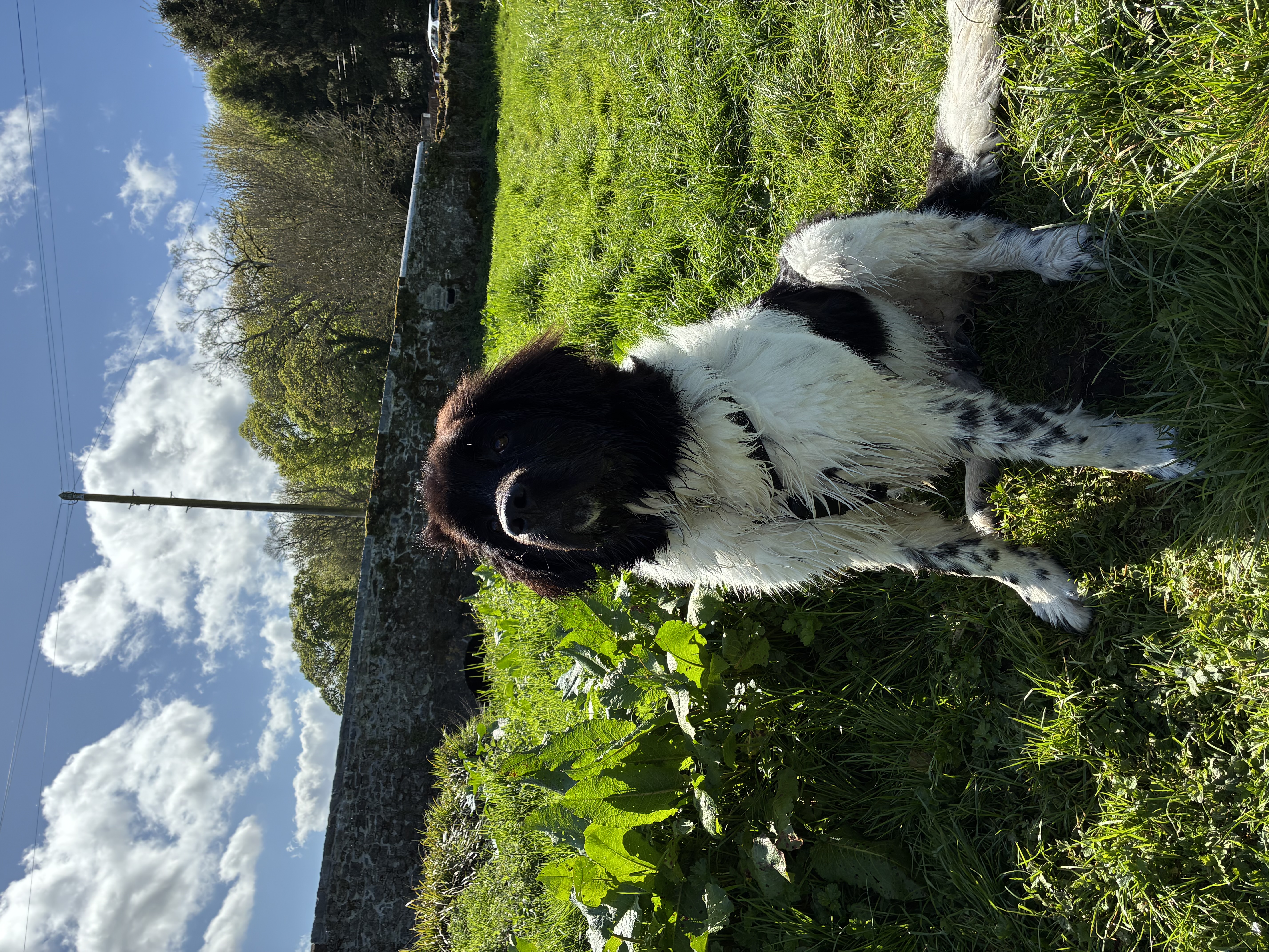 image-8