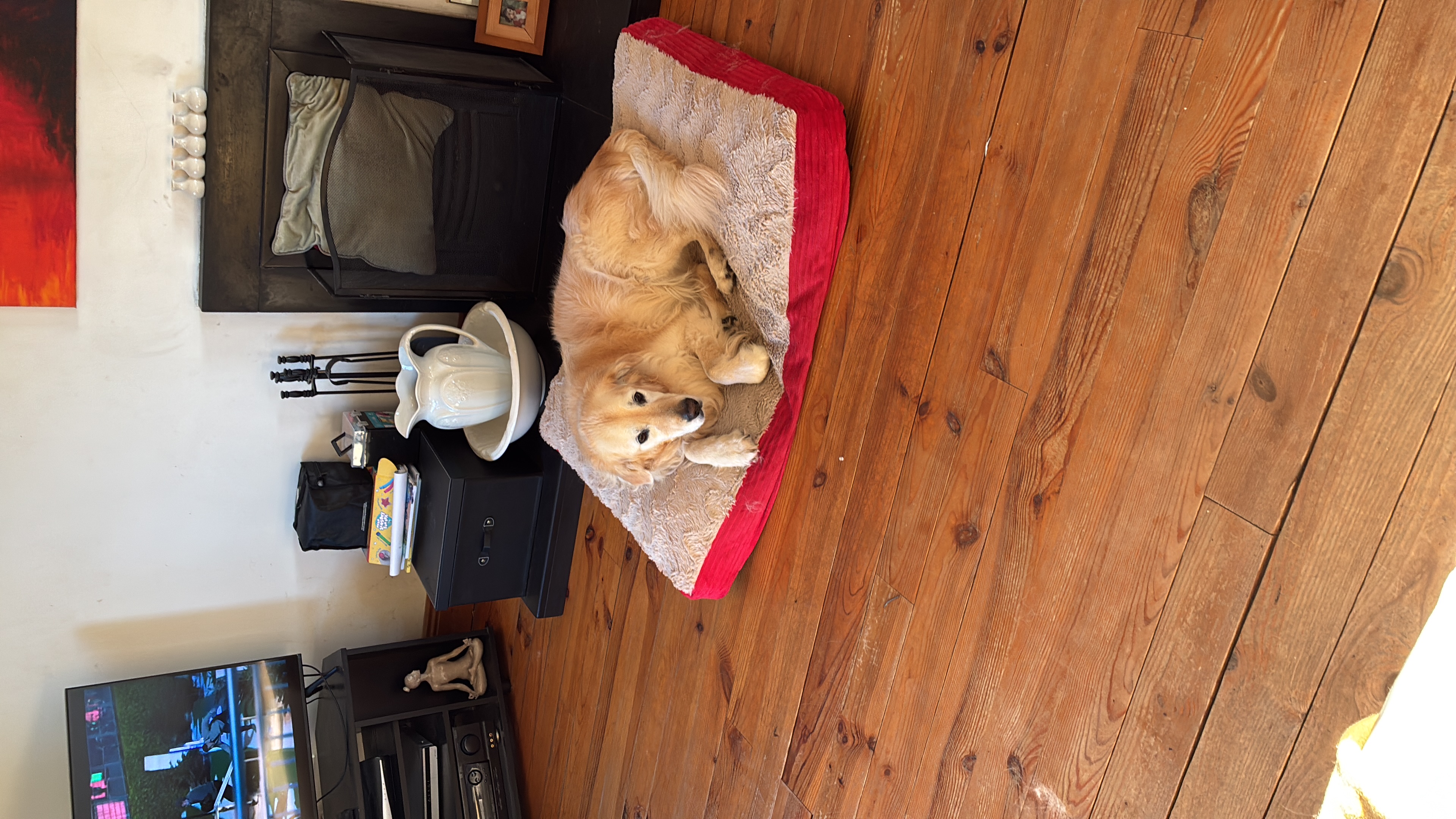 image-12