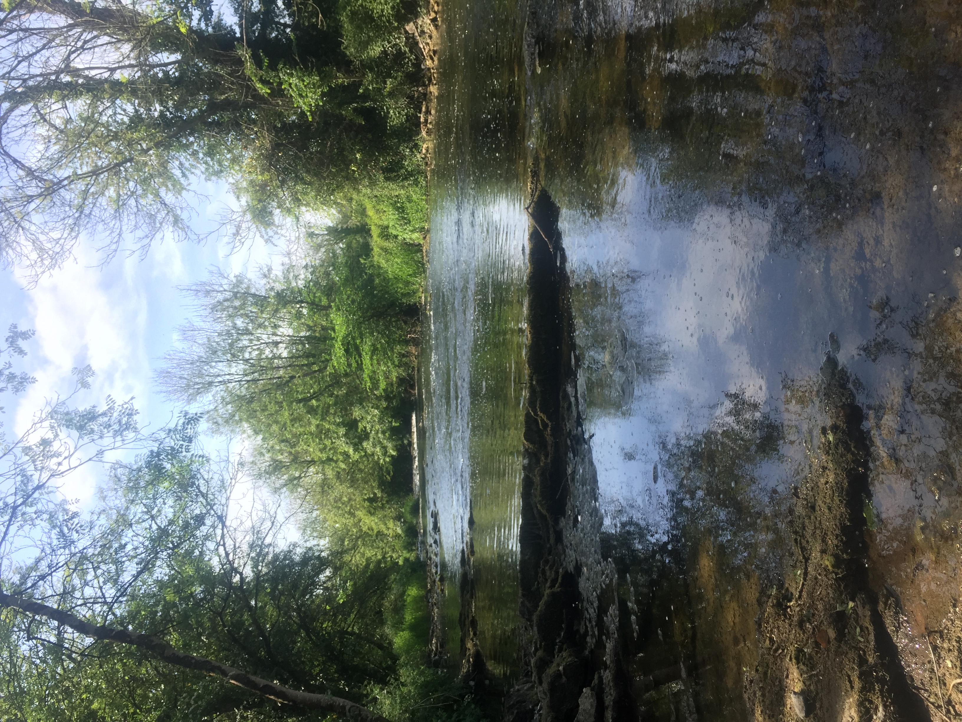 image-10