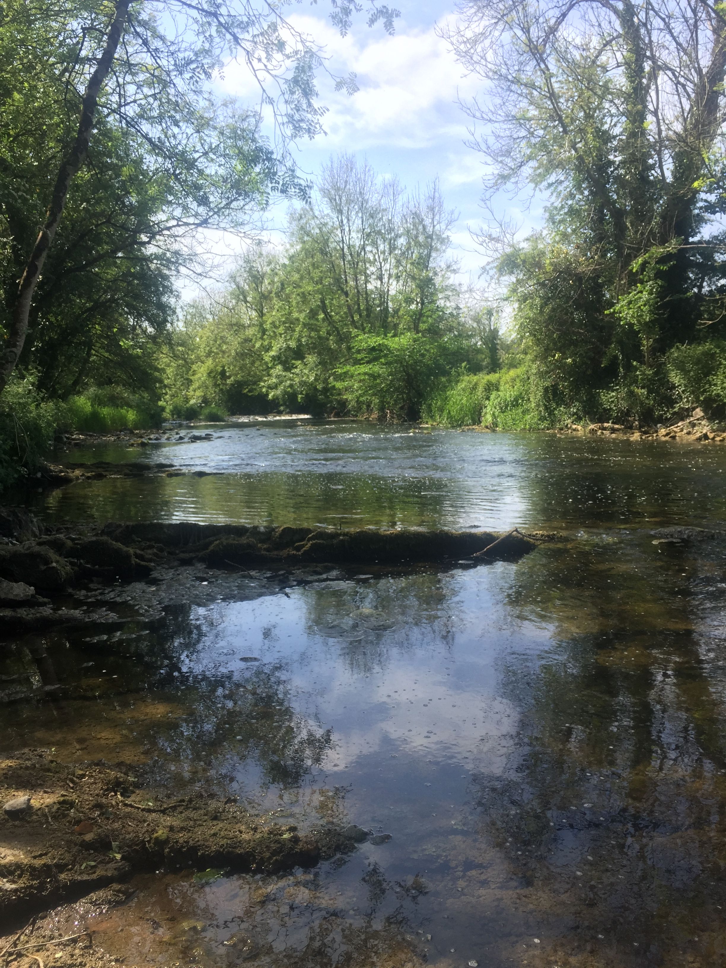 image-10