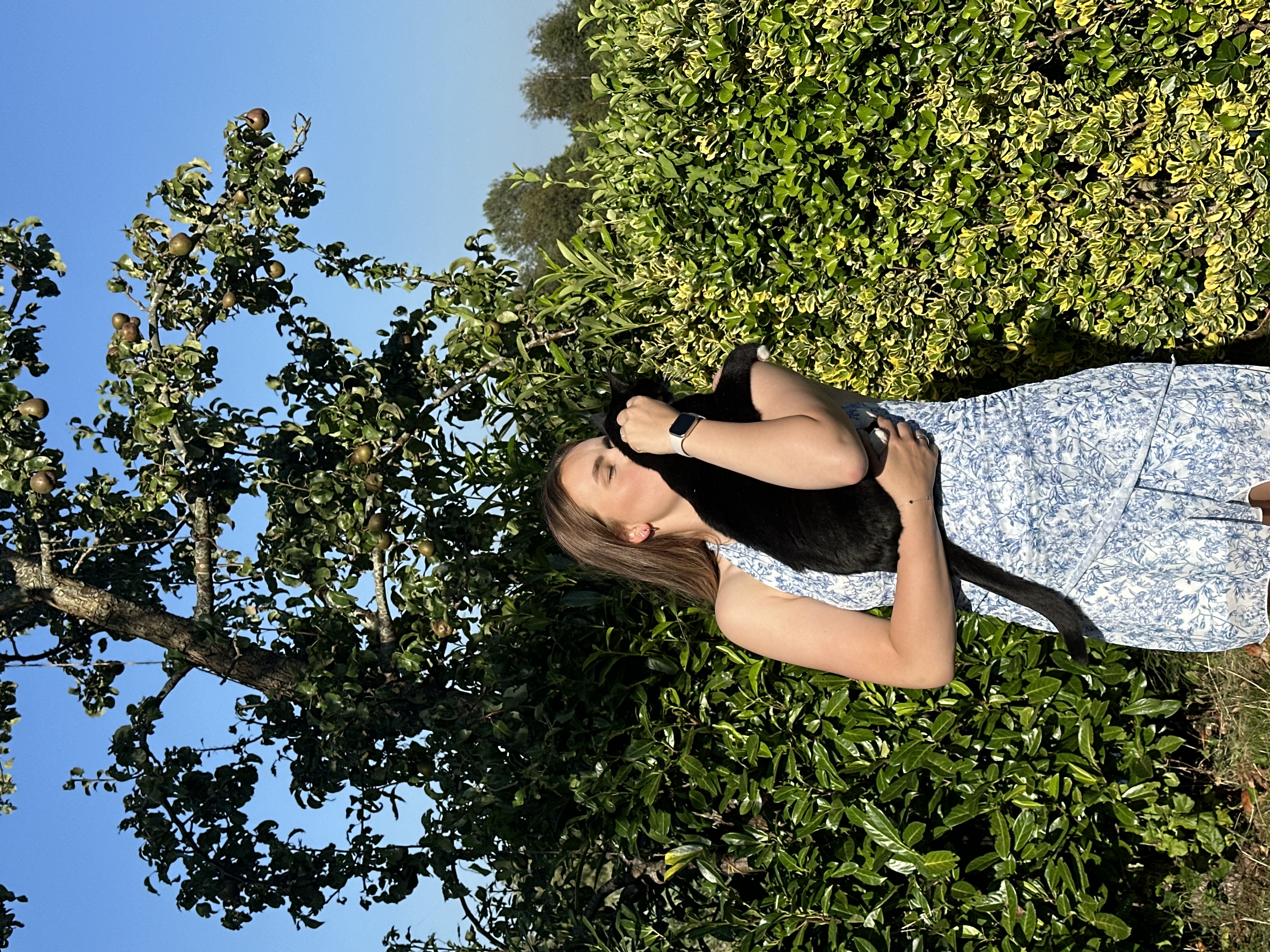 image-5