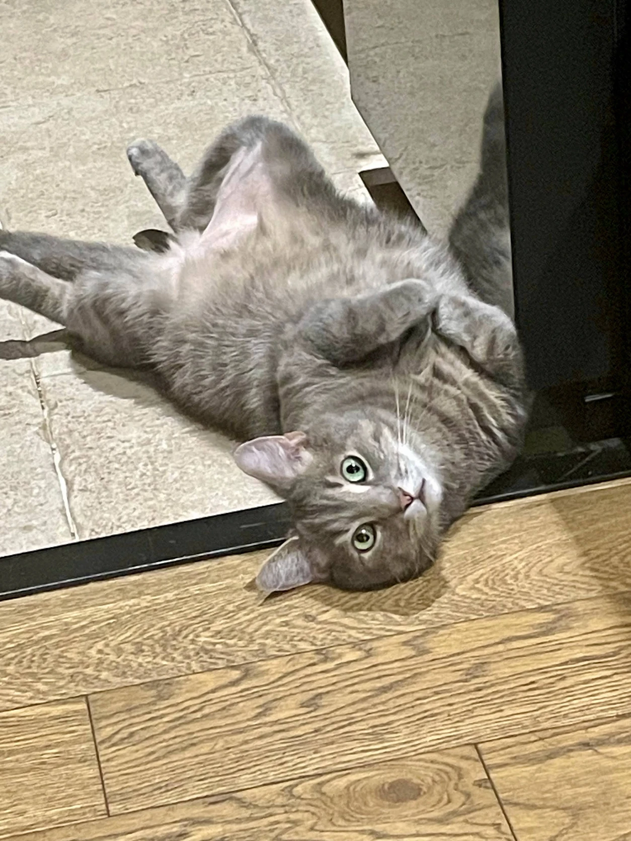image-6