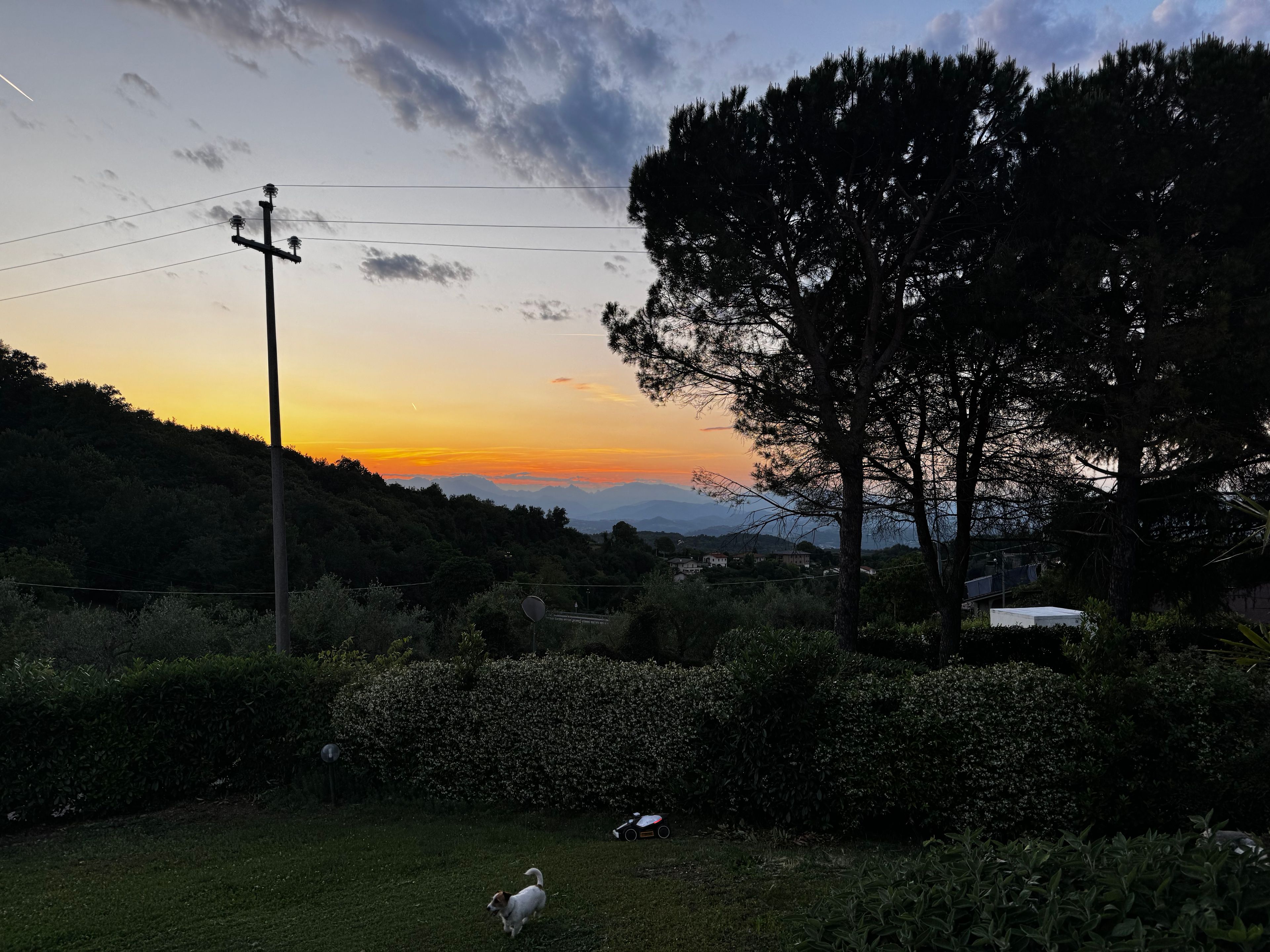image-17