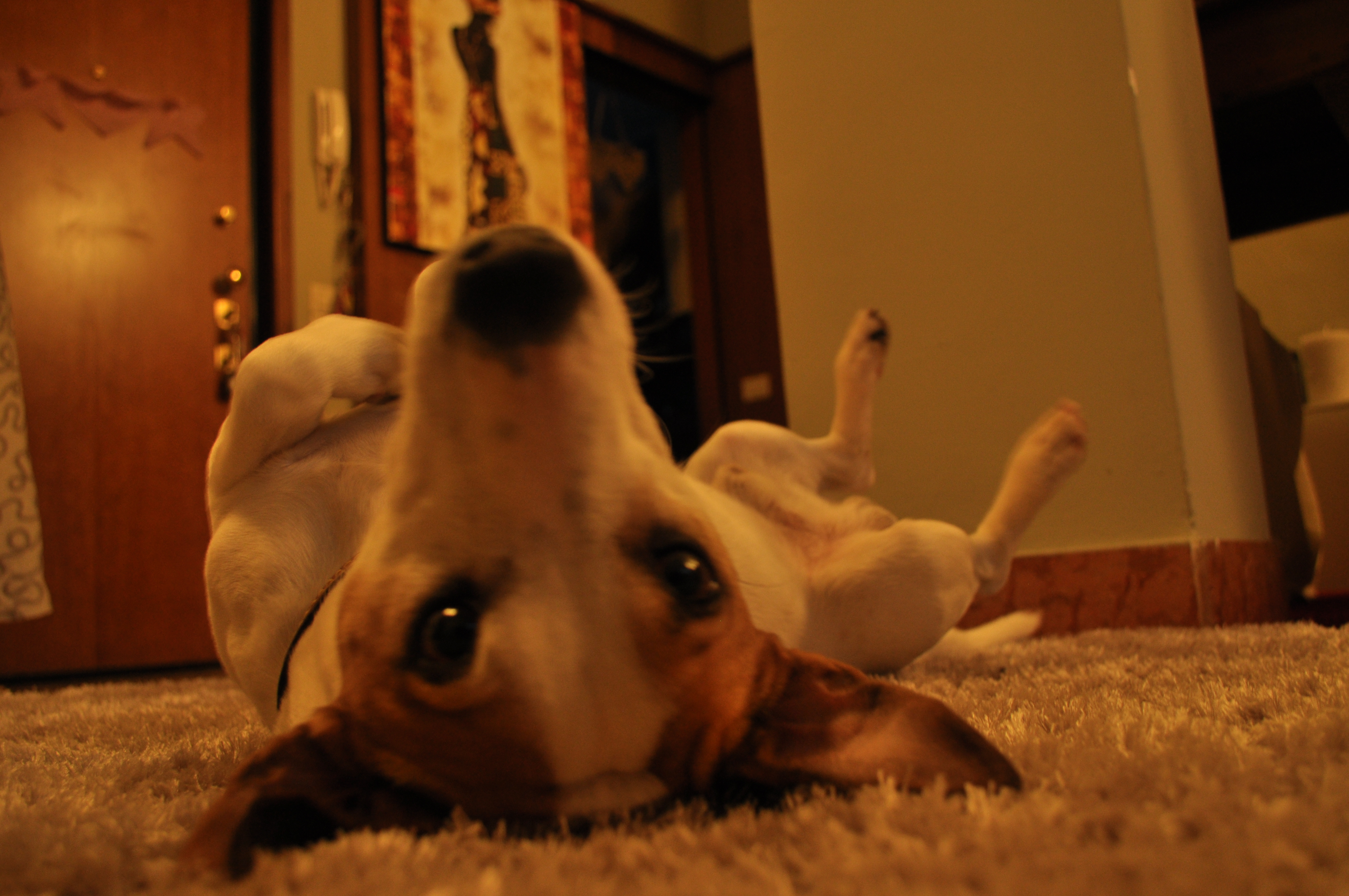 image-5