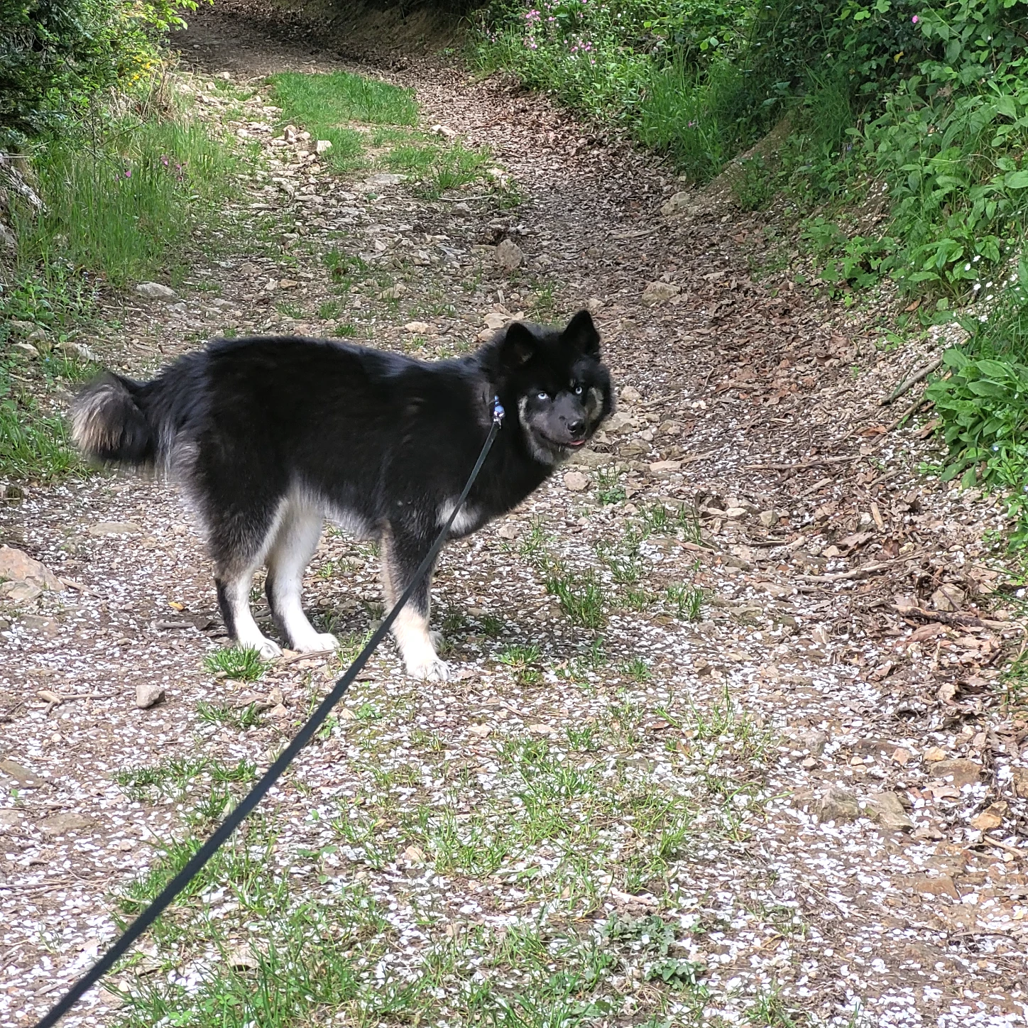 image-9