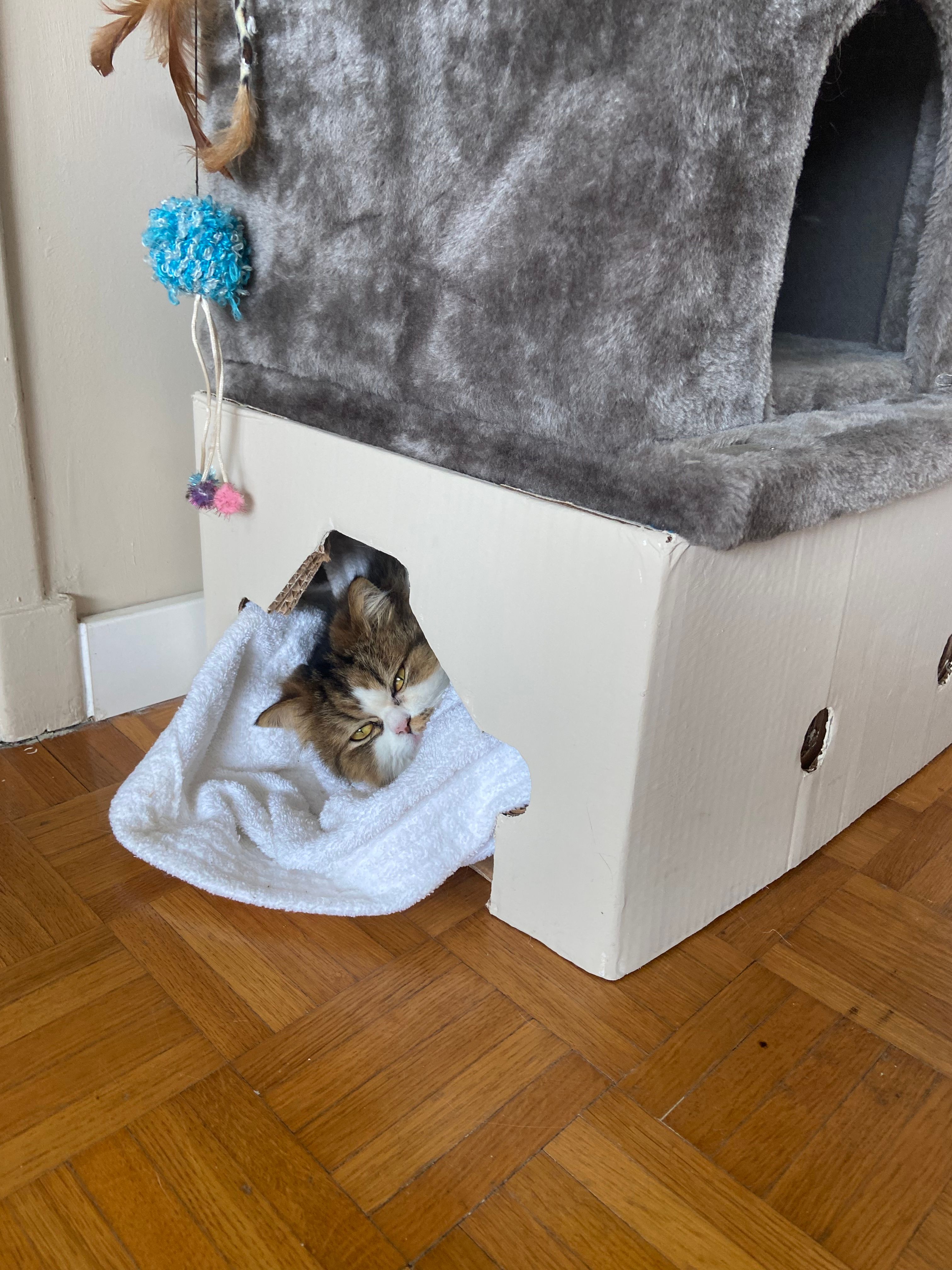 image-16