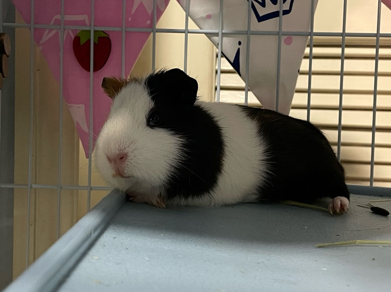 image-6