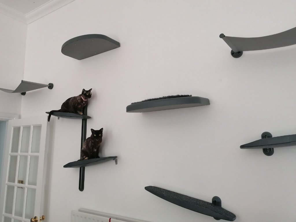 image-9