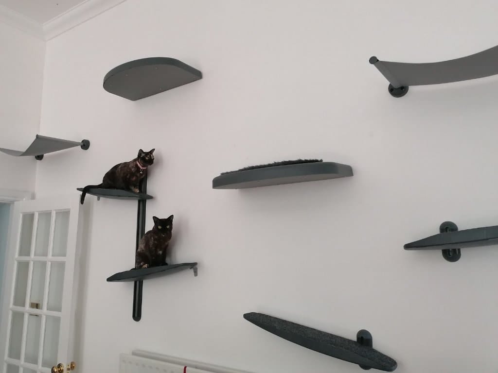 image-9