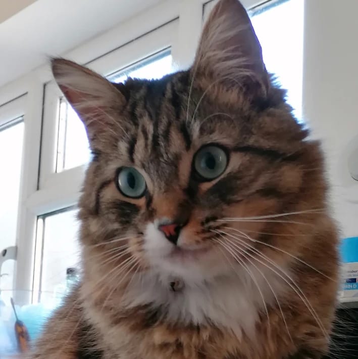 jax